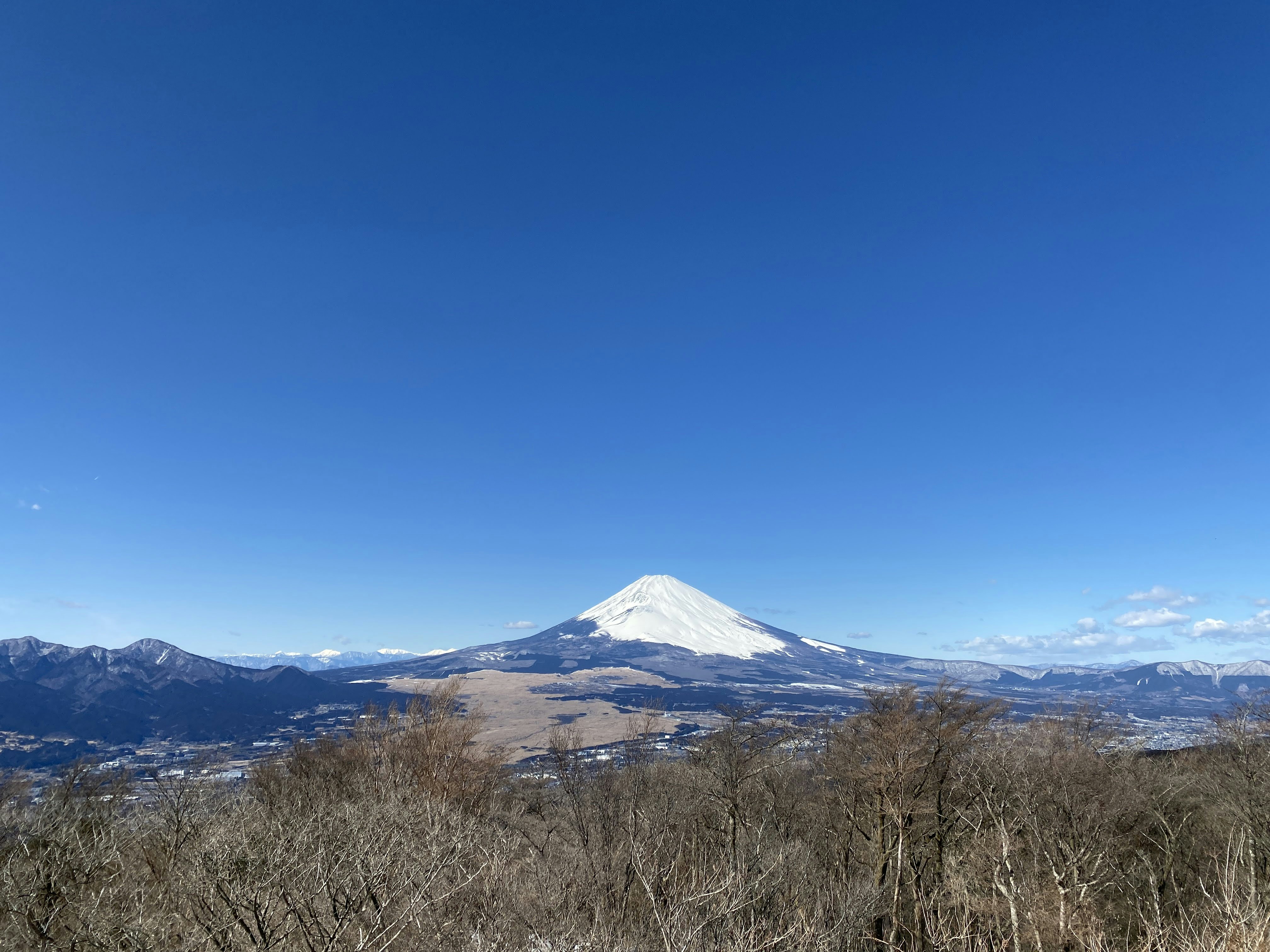Straight shot of Mt. Fuji from the Izu Skyline