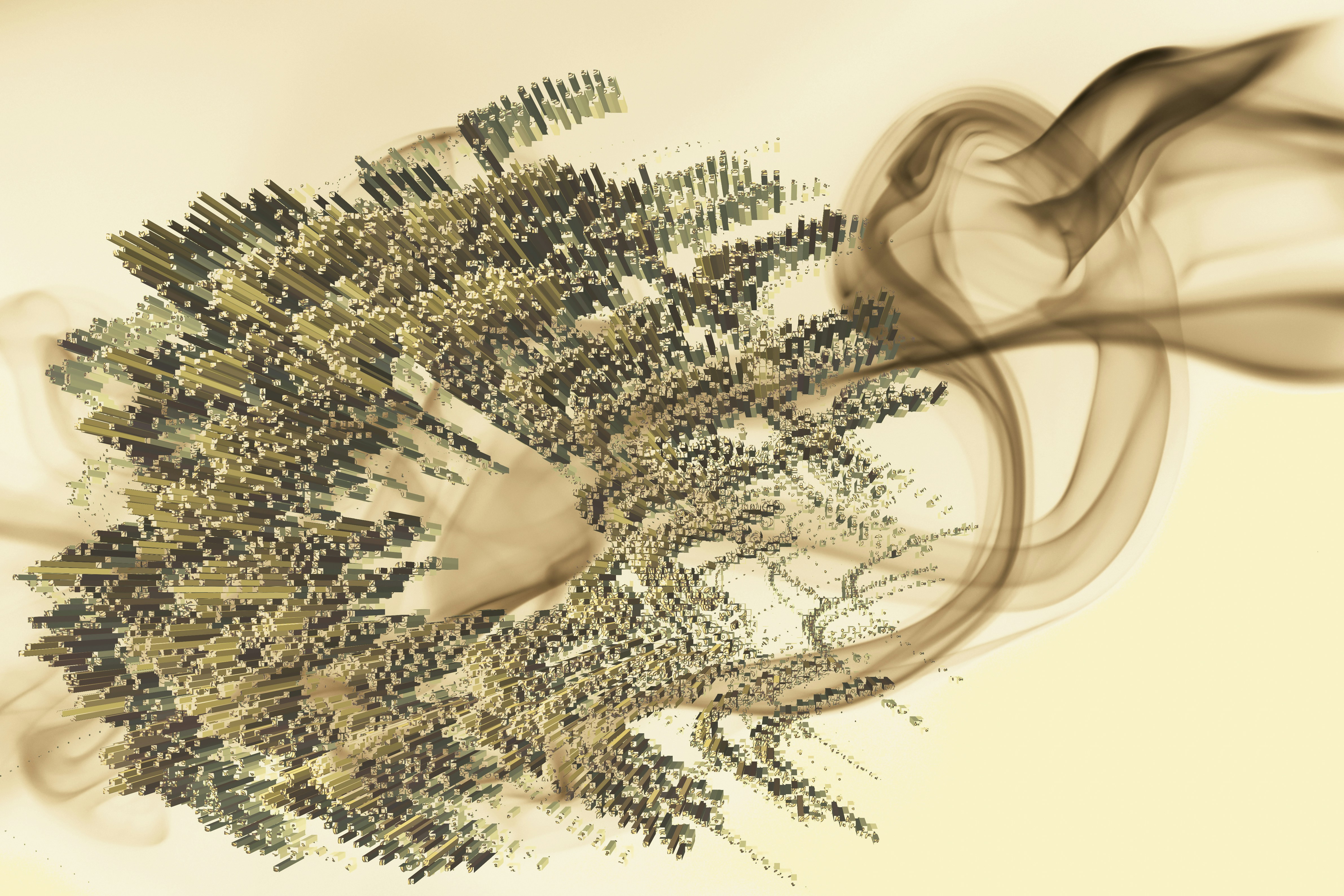 an abstract photograph of a bunch of plants