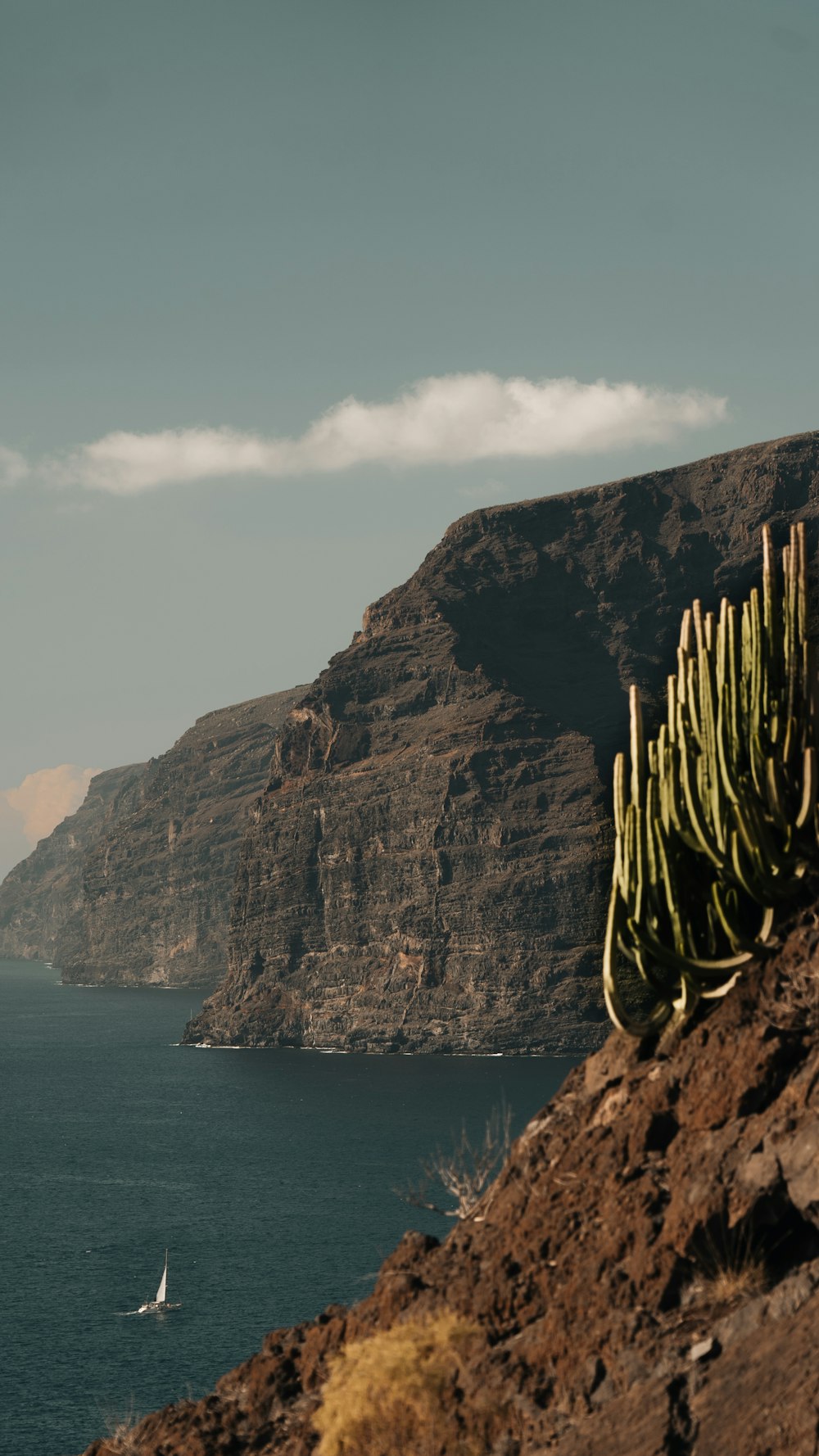 a view of a body of water with a mountain in the background