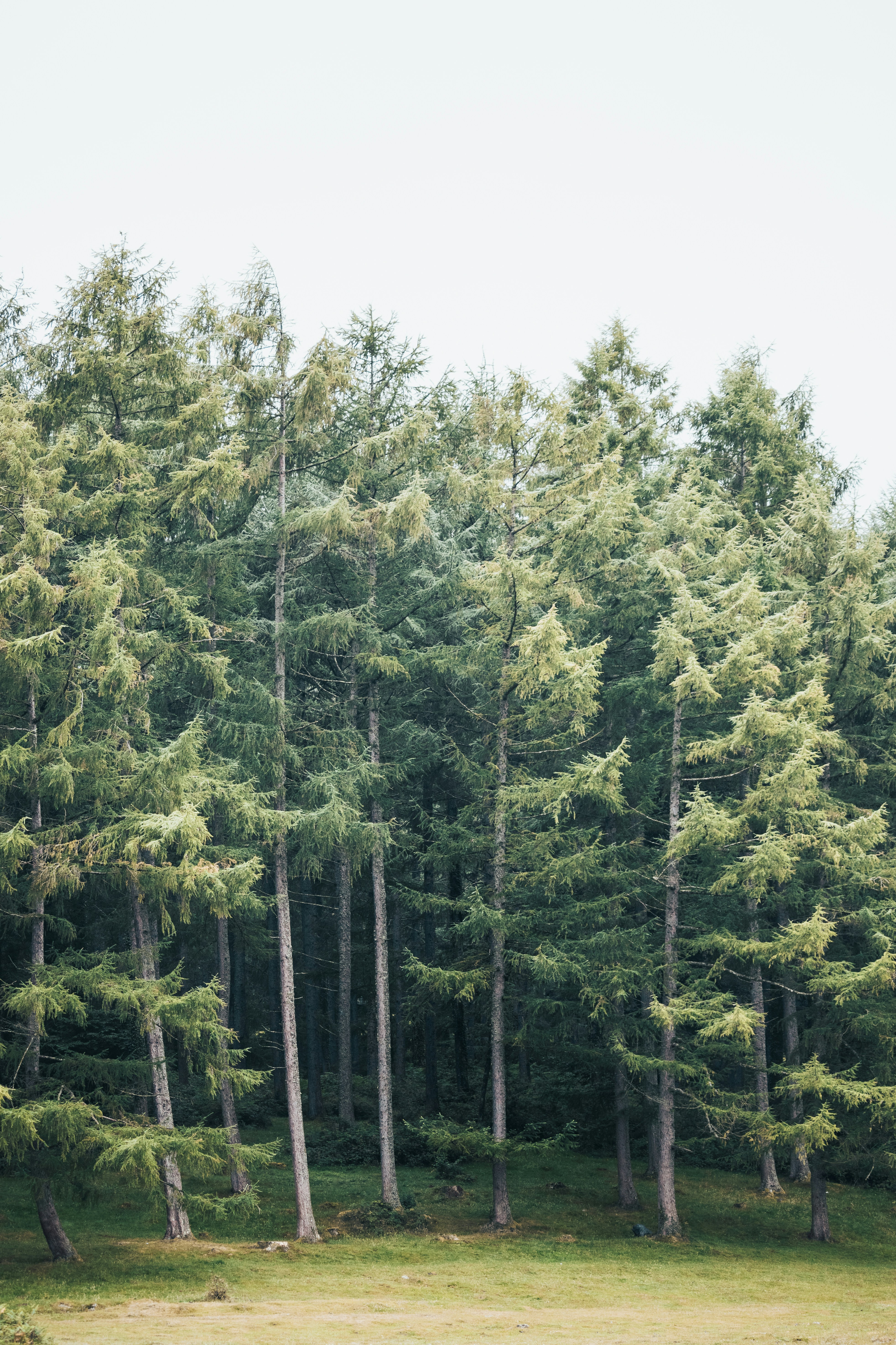 Photo by clementduguerre