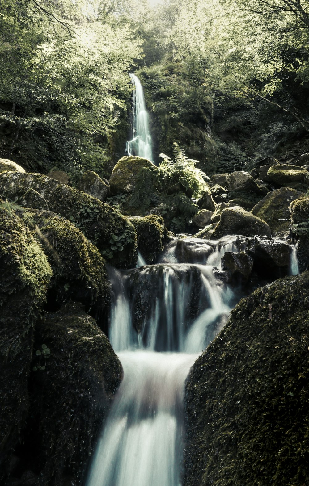 a small waterfall in the middle of a forest