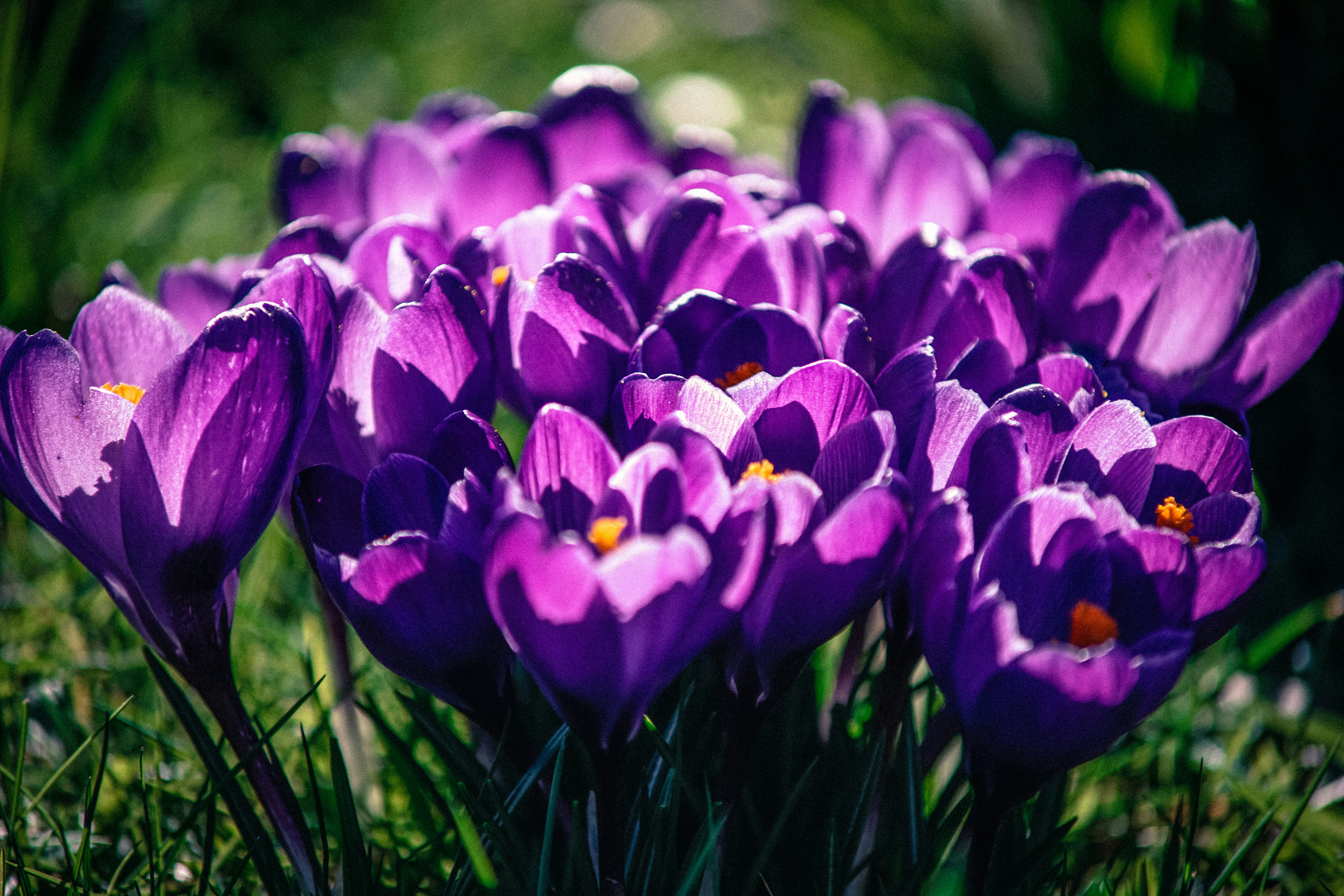 Photo by litschigraphie