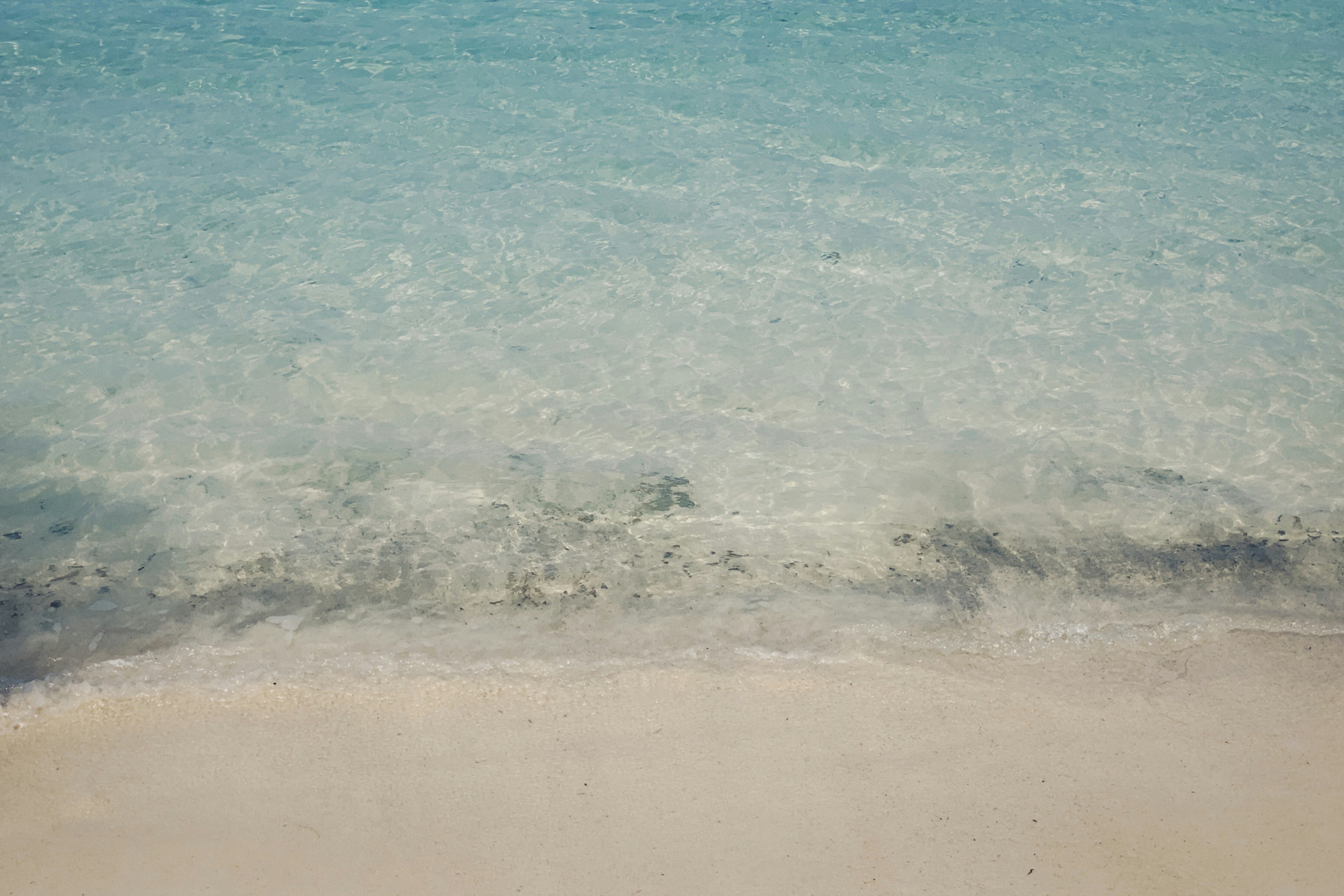 Photo by alexeydemidov