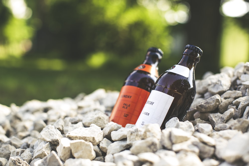 two bottles of beer sitting on top of a pile of rocks