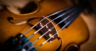 A close-up view of a violin showing the strings, bridge, and part of the body. The wooden instrument has a rich brown color with visible wood grain and fine craftsmanship details.