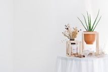 On a round white table, a wooden stand holds a terracotta pot with a tall green plant. Beside it, another stand contains dried flowers and a glass jar. The scene is serene with minimalistic decor and neutral tones, enhanced by scattered dried elements.