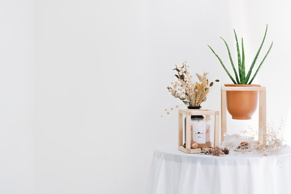 a potted plant sitting on top of a table