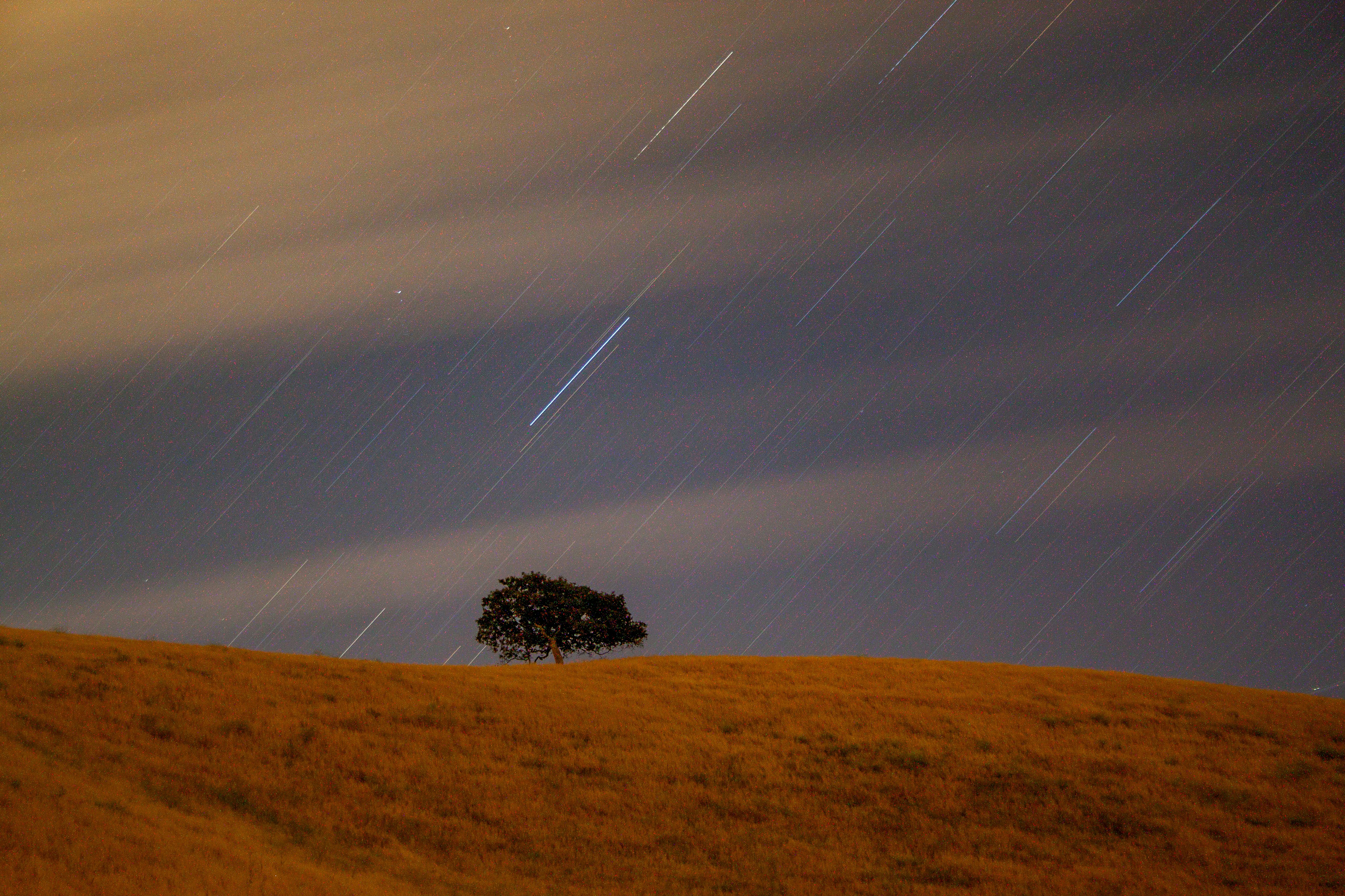Un árbol solitario en una colina bajo un cielo nublado