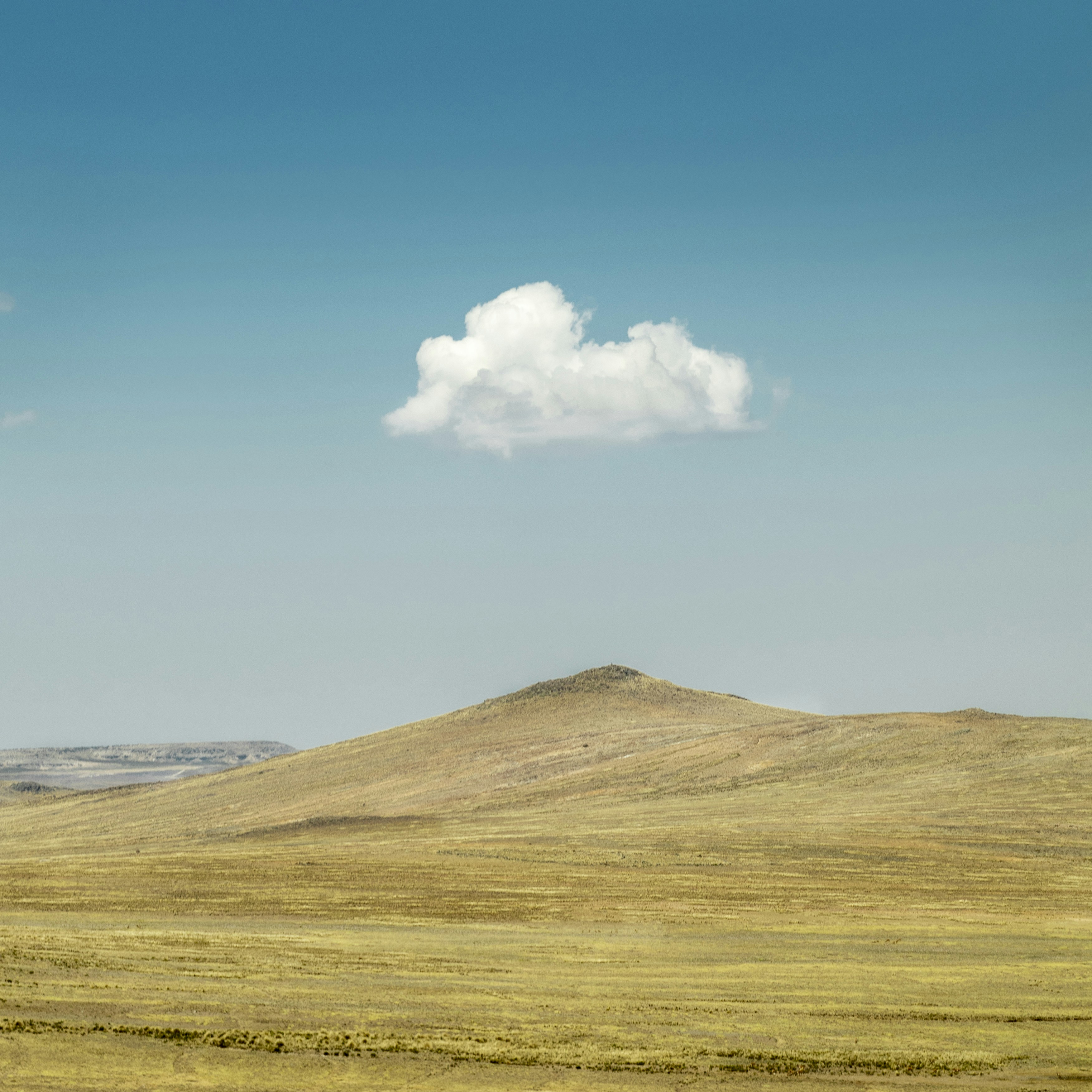 Photo by efernandezp