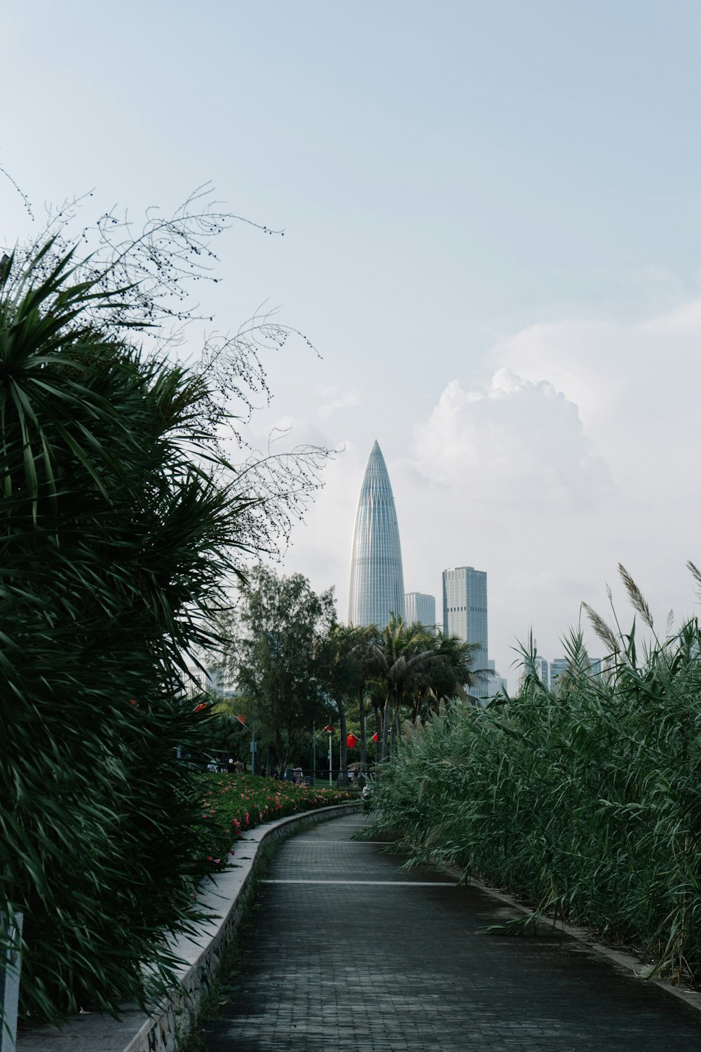 a city street with tall buildings in the background