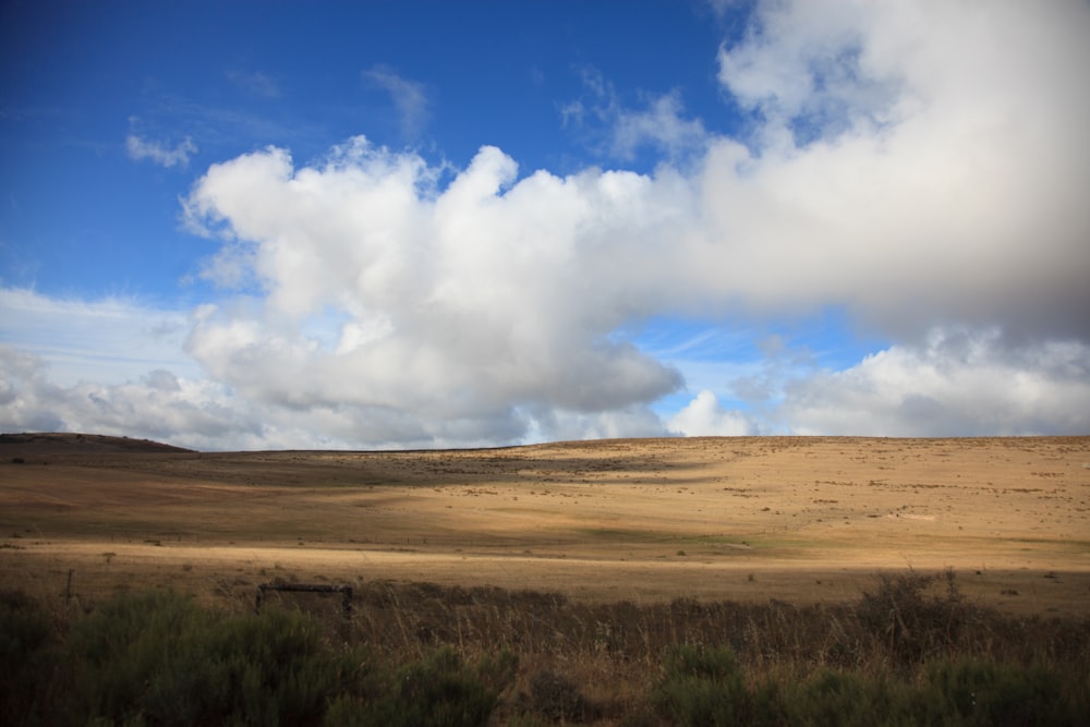 a grassy plain with a few clouds in the sky