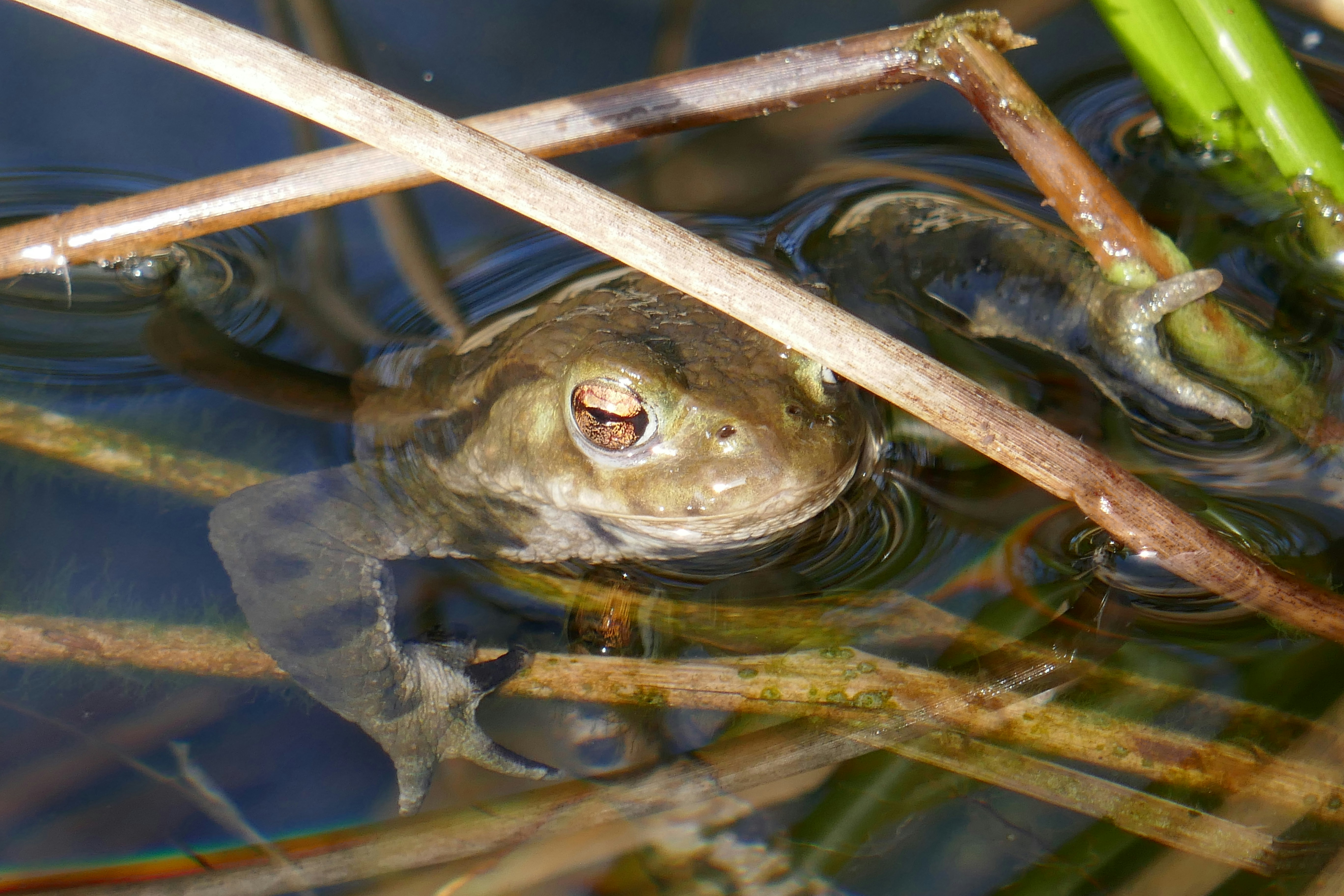 Photo by laurasheppard