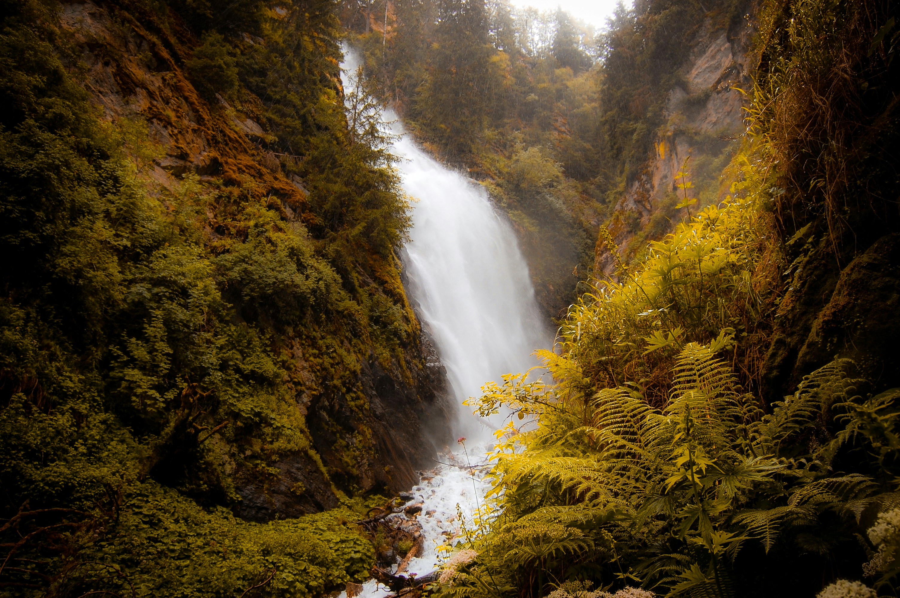 Photo by gracephotography