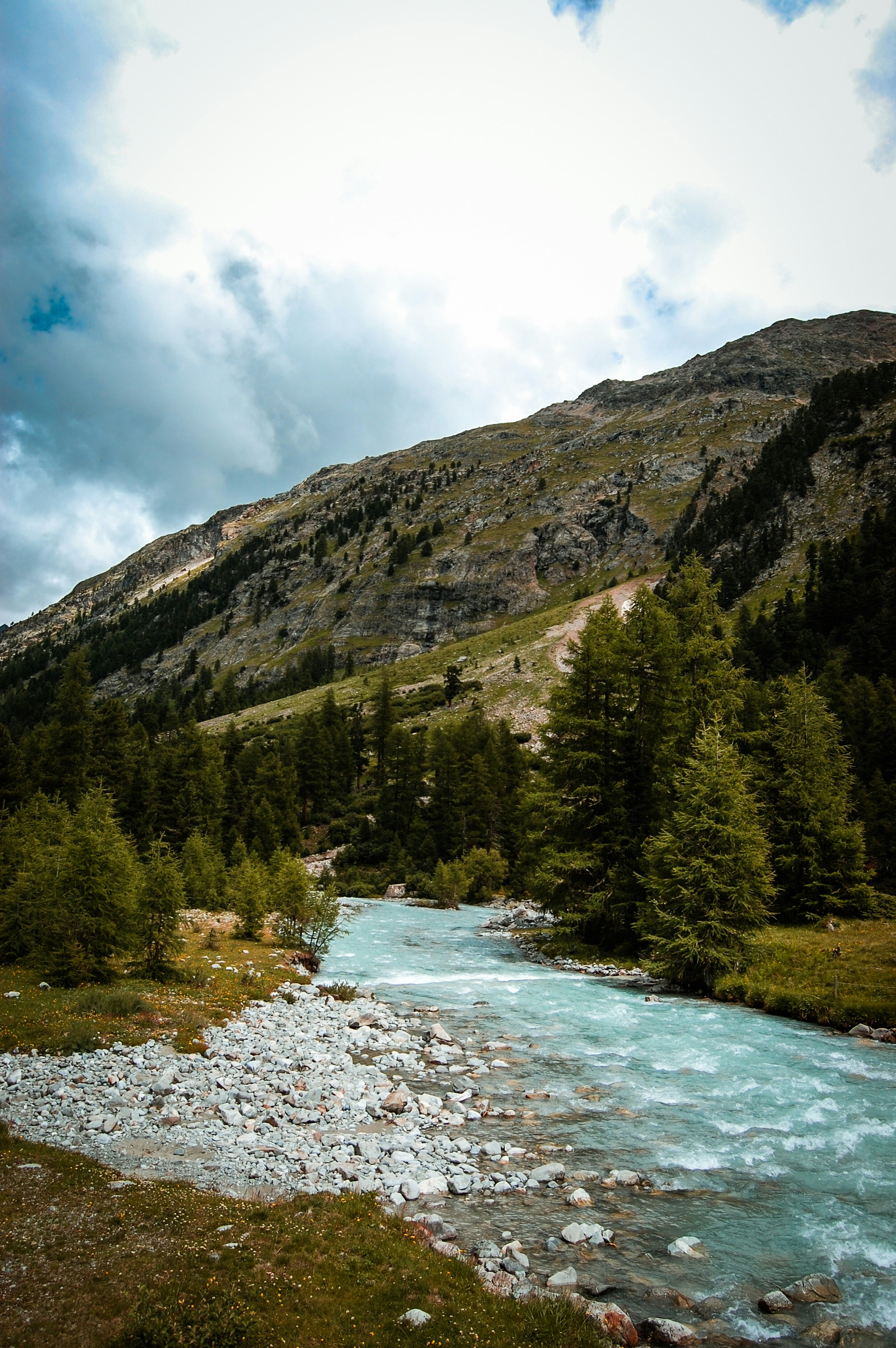 Photo by gracephotography