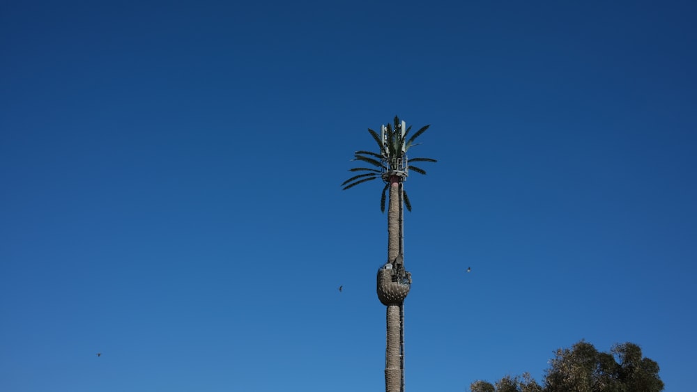 a tall palm tree in front of a blue sky