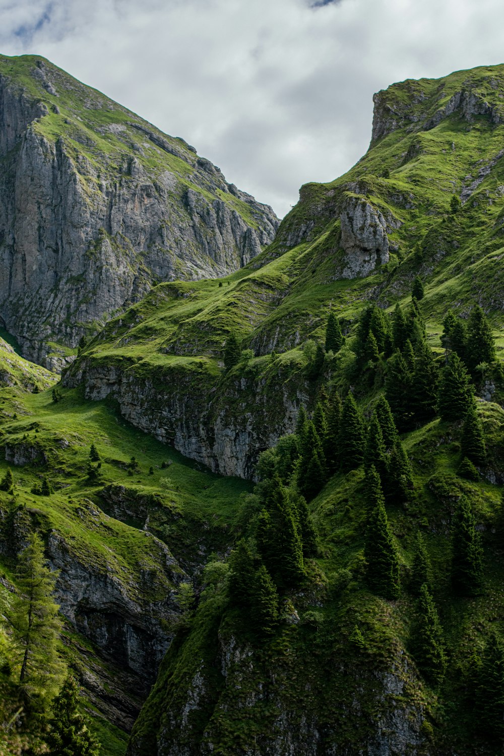 Una valle verde lussureggiante circondata da montagne sotto un cielo nuvoloso