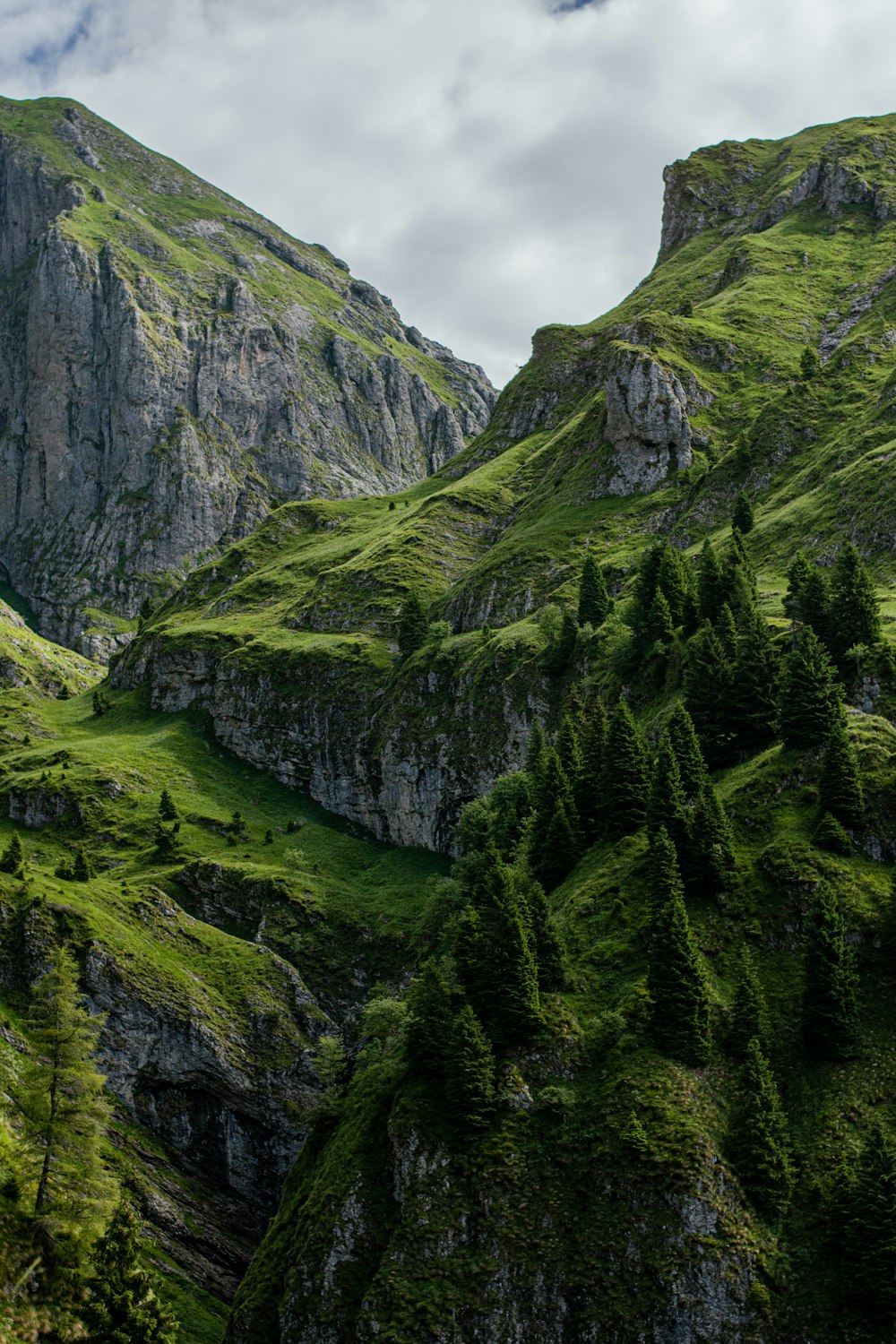 a lush green valley surrounded by mountains under a cloudy sky