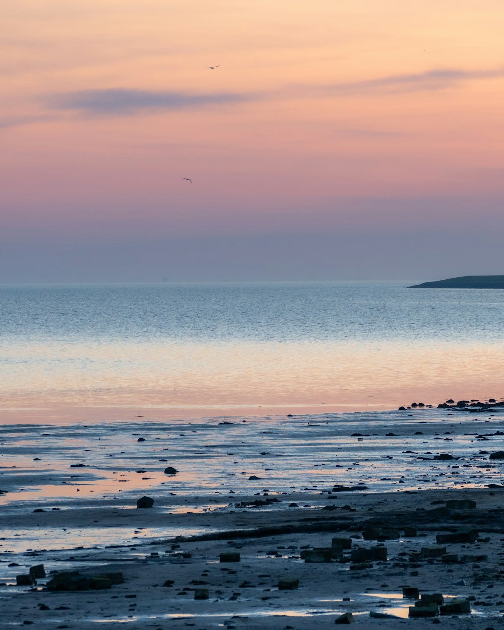 a person walking on the beach at sunset