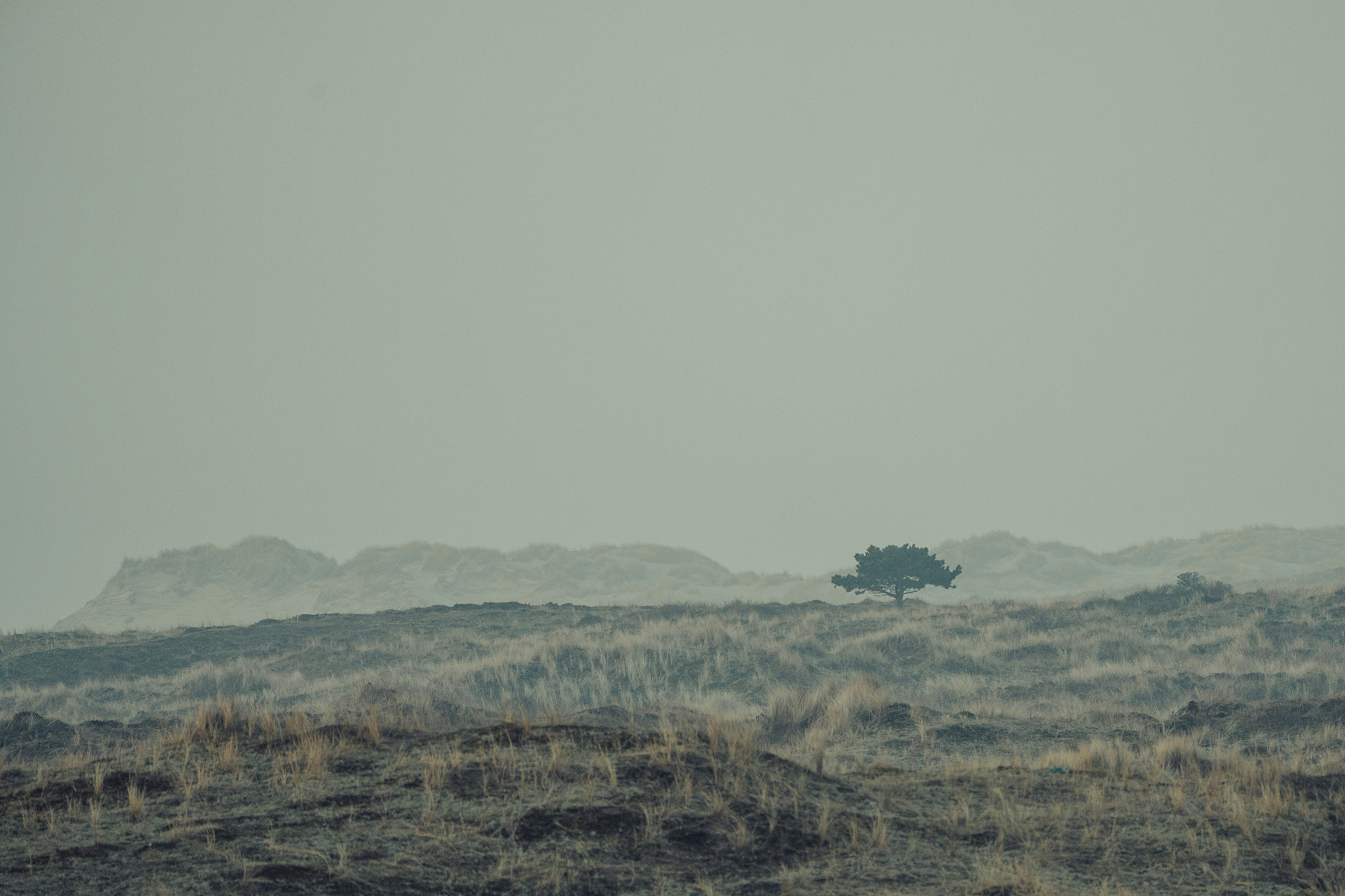 Photo by sinusfiction