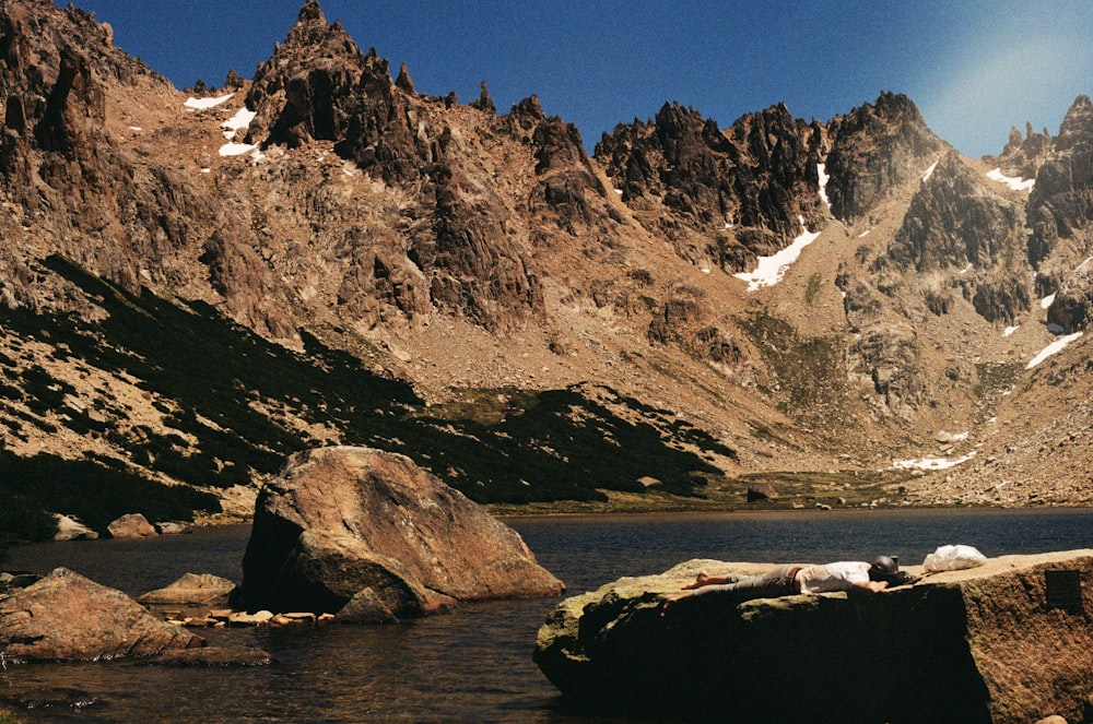 a group of animals laying on top of a large rock