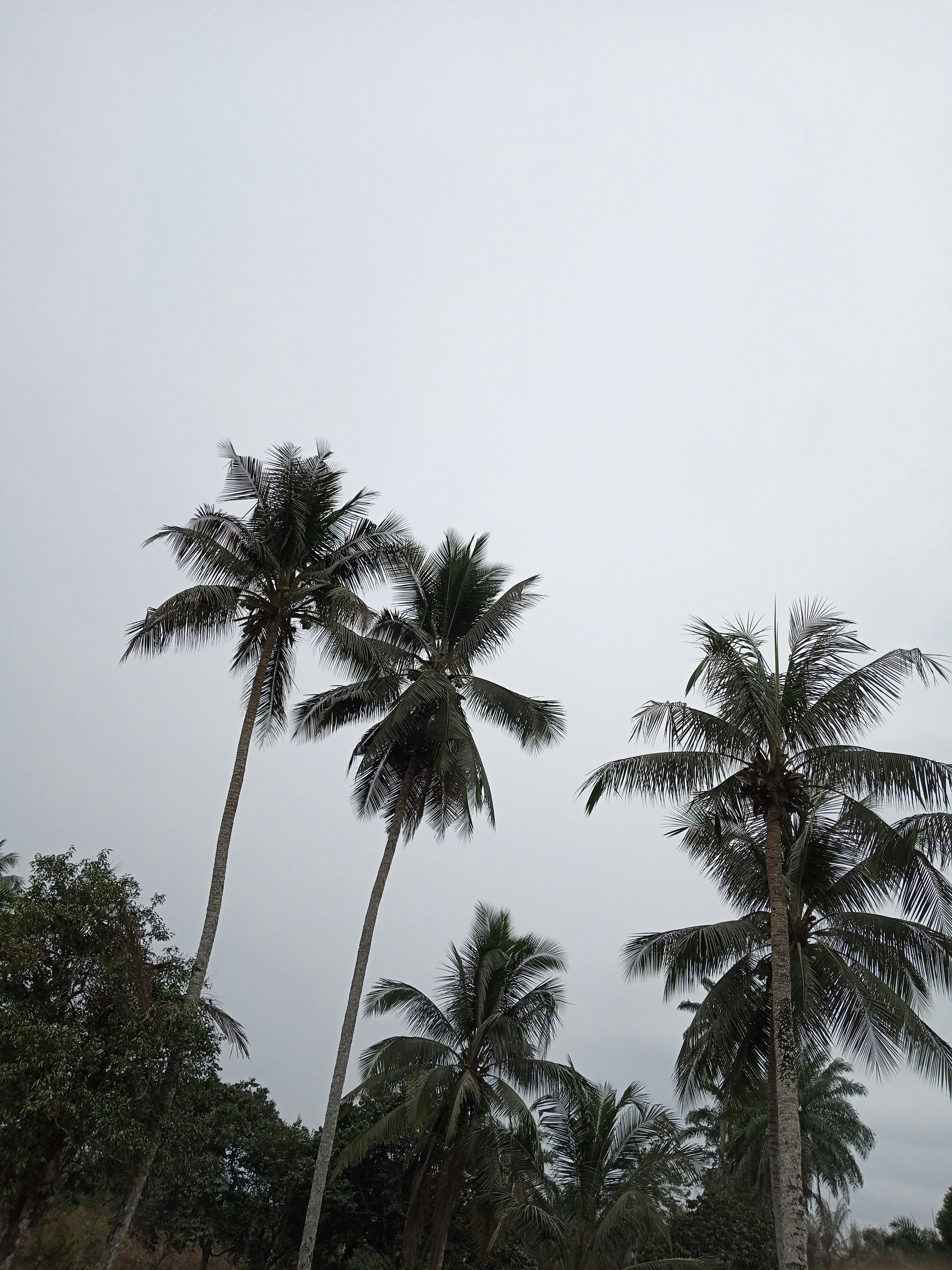 Photo by chaliemoscow