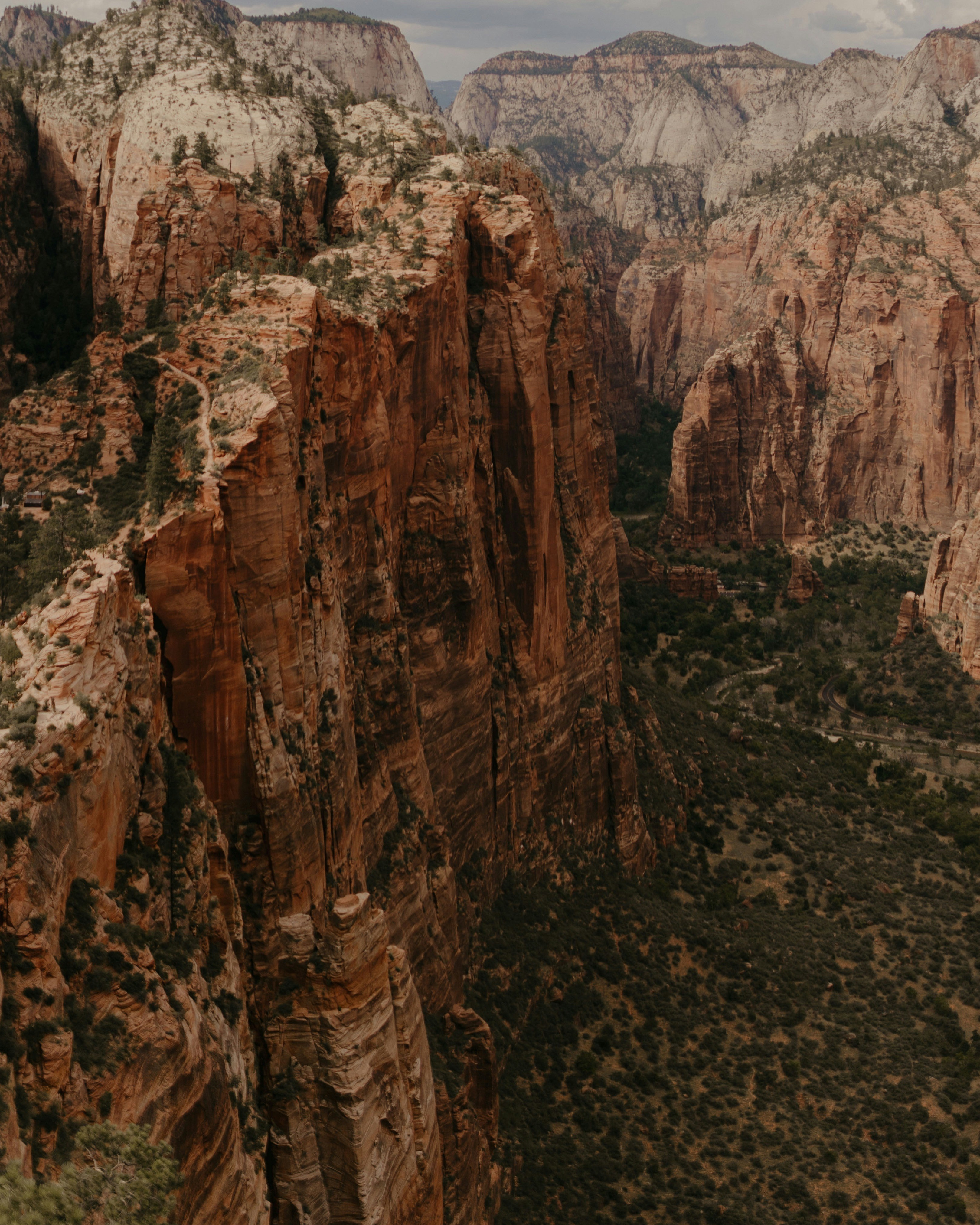 Photo by nomadicfitlust