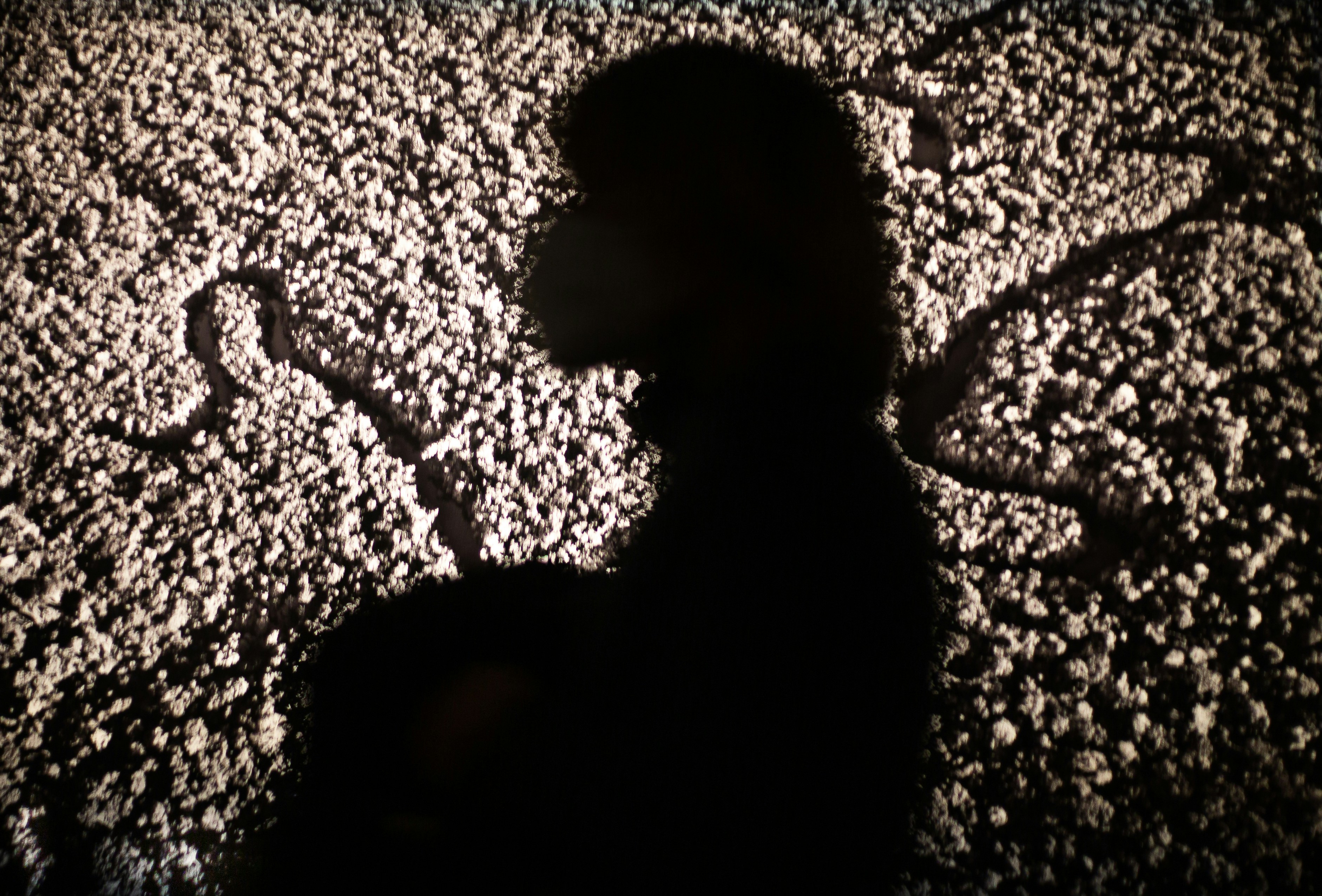 a silhouette of a person standing in a field