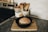 A loaf of artisan bread sits in a black cast-iron skillet on a wooden cutting board. The bread has a beautifully scored crust, highlighting a golden brown color. Nearby, a jar of flour and a collection of wooden utensils are arranged on the countertop, which is made of dark stone.