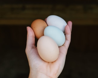 a person holding three eggs in their hand
