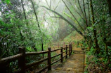 Shillong