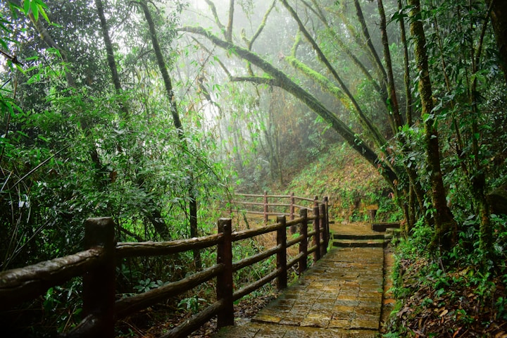 Shillong: 7 sisters of india