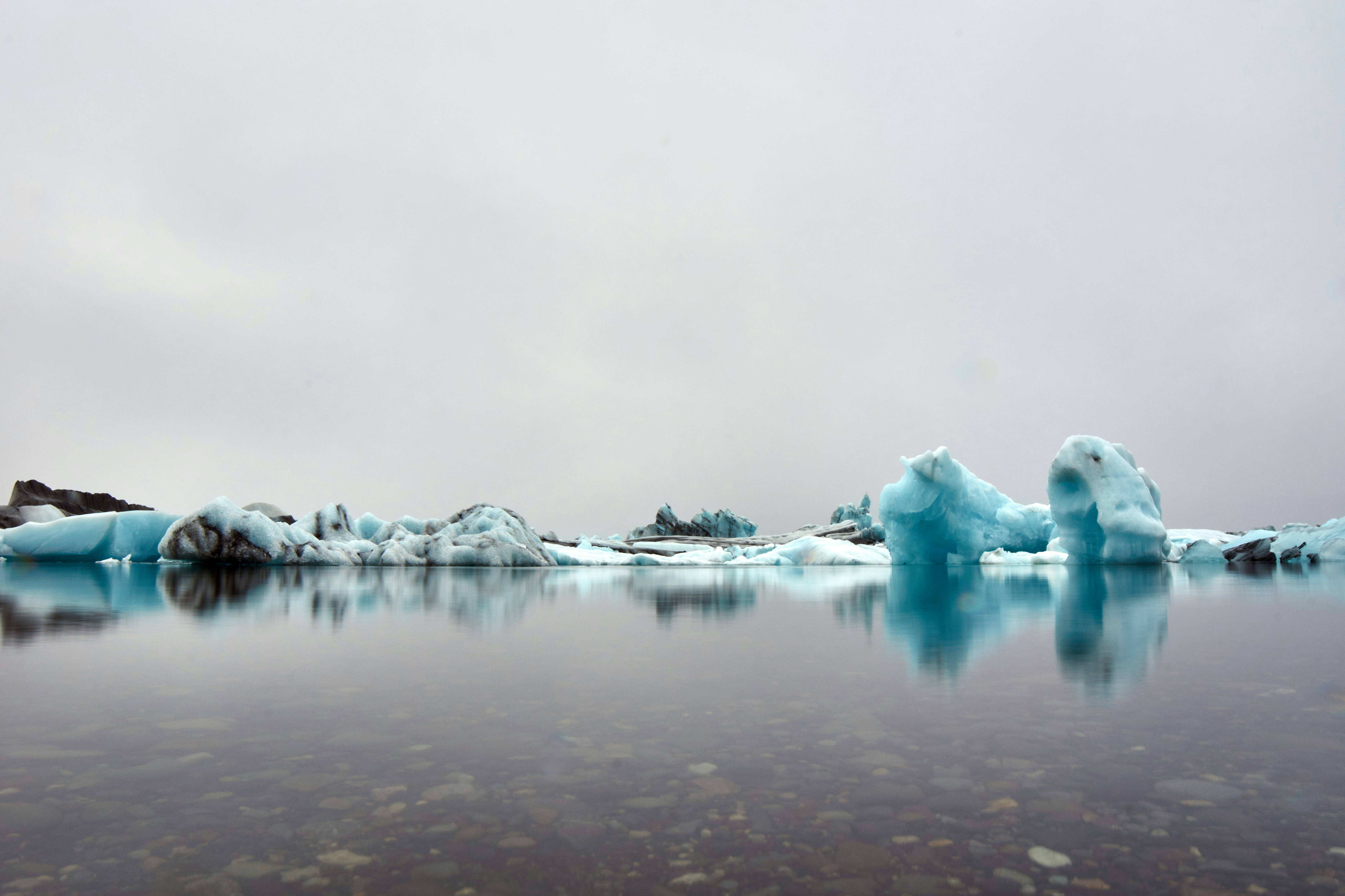 Photo by wolfgang_hasselmann