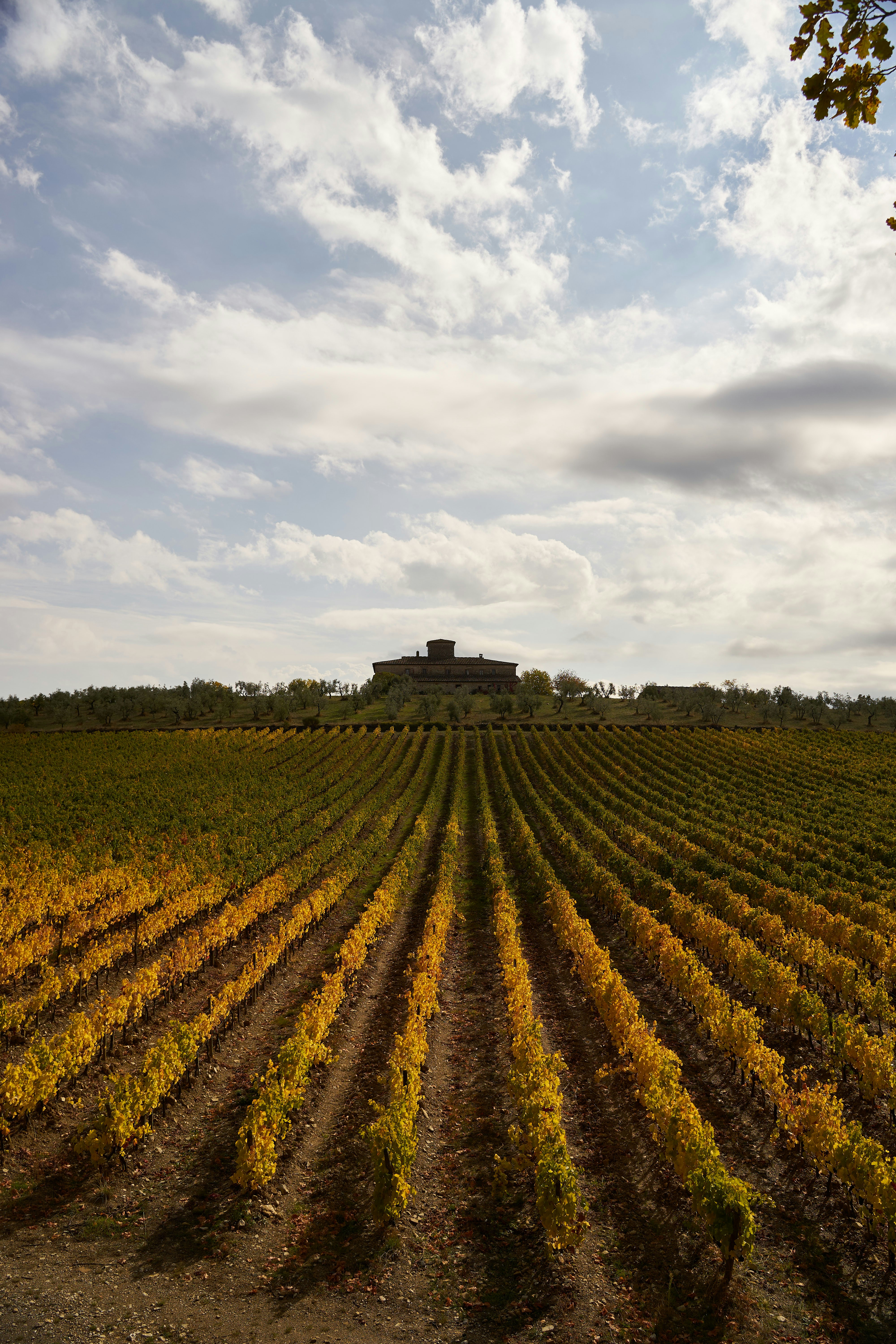 Photo by wolfgang_hasselmann