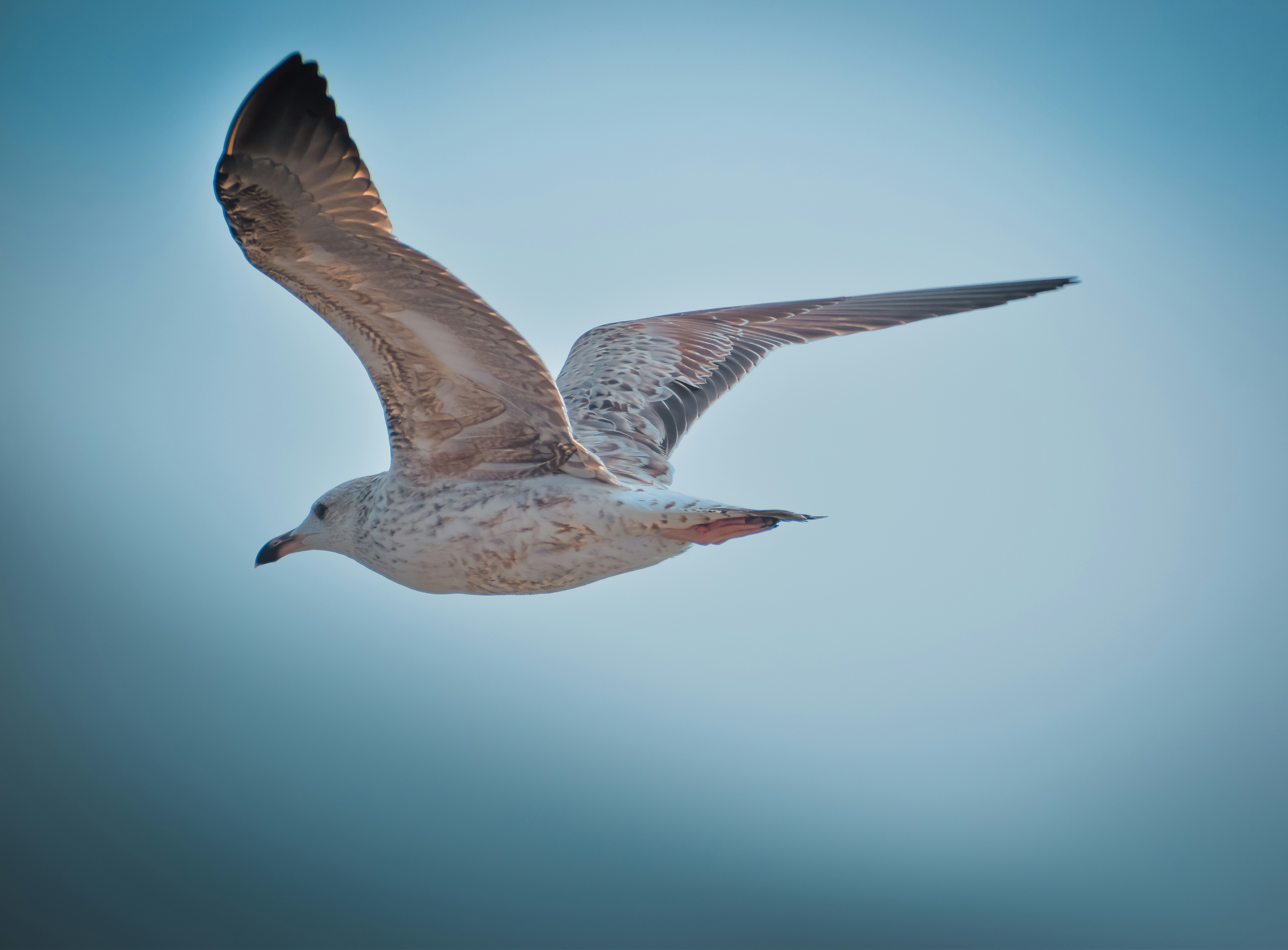 Photo by navi_photography