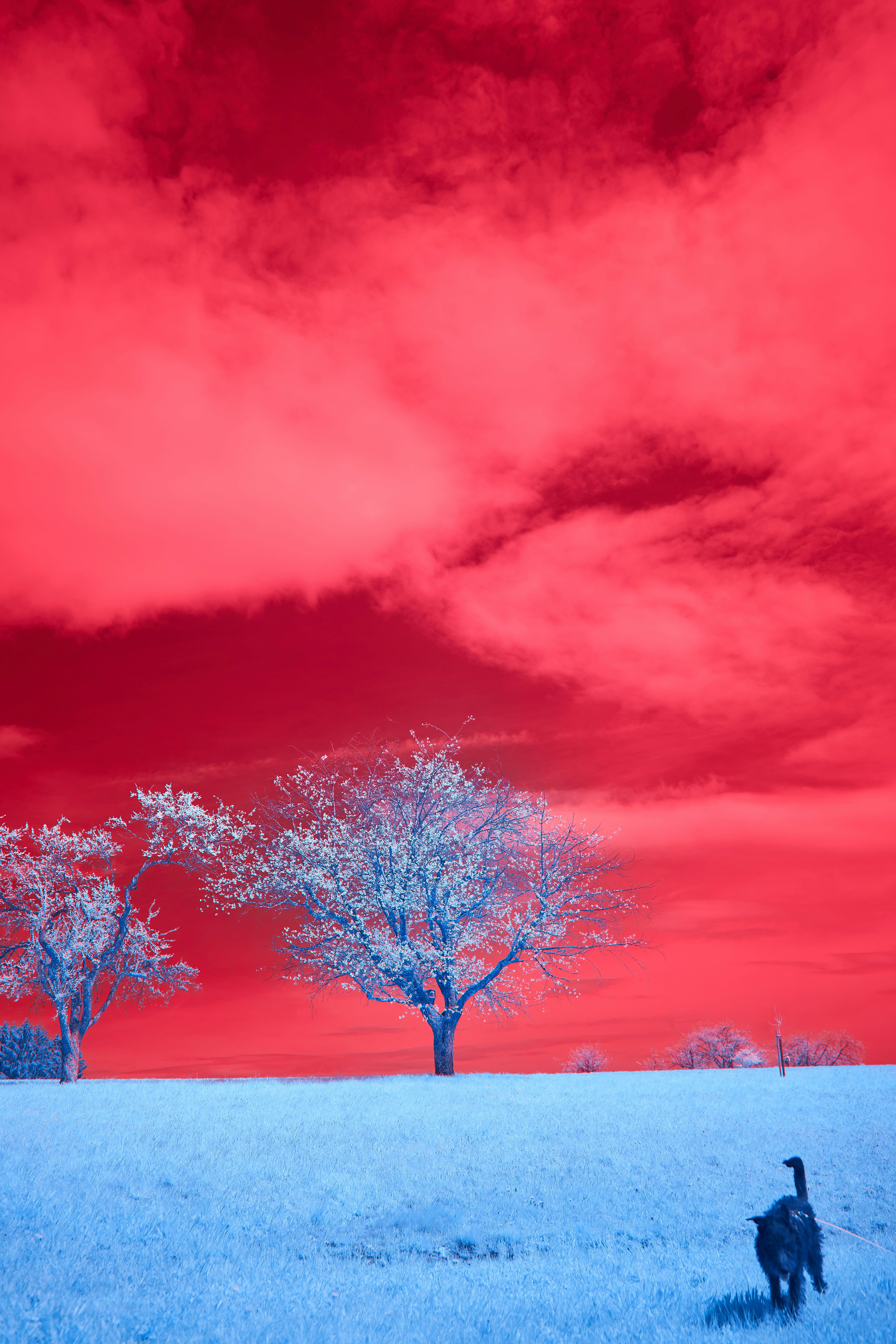 Photo by wolfgang_hasselmann