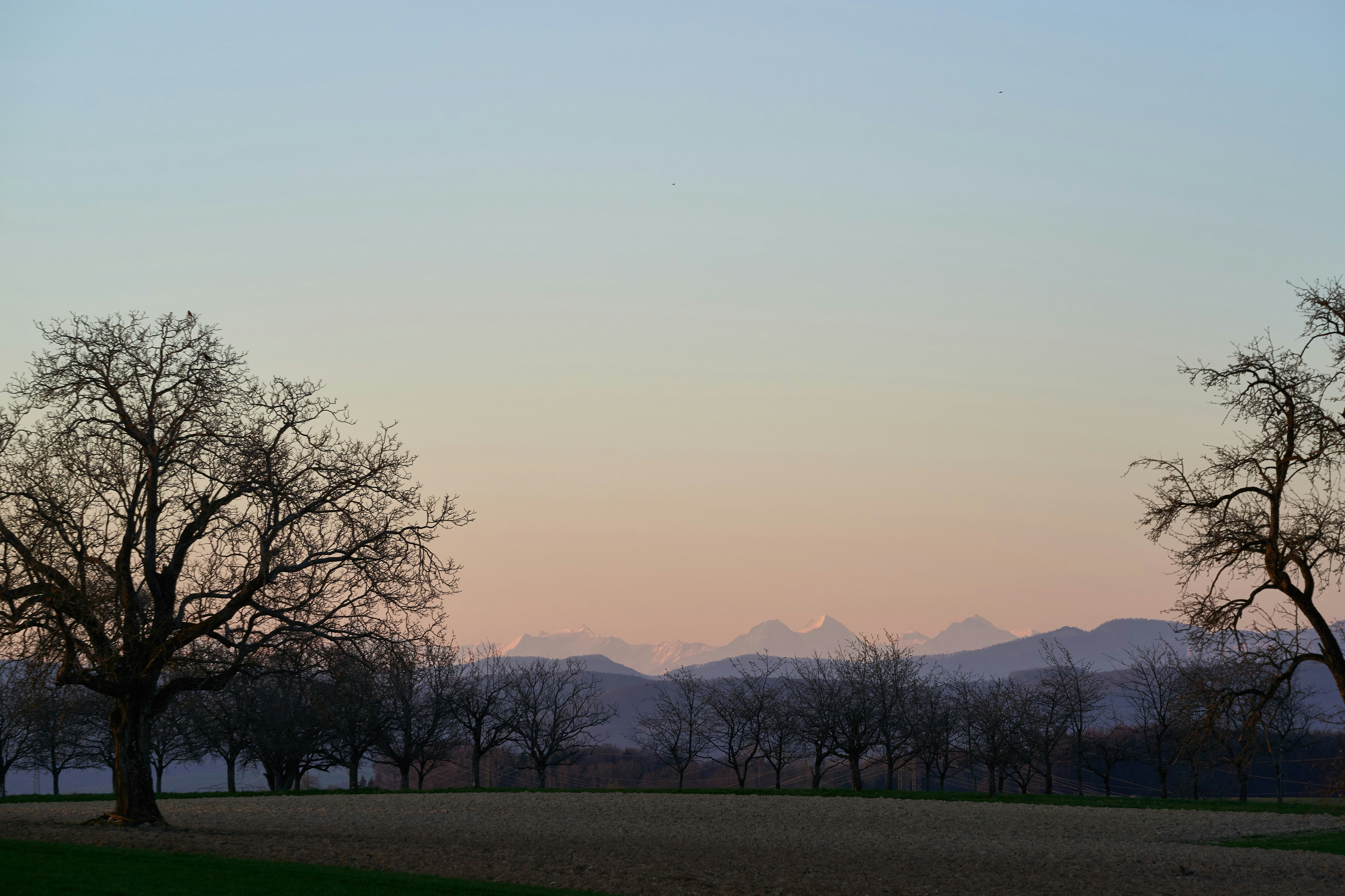 Photo by wolfgang_hasselmann