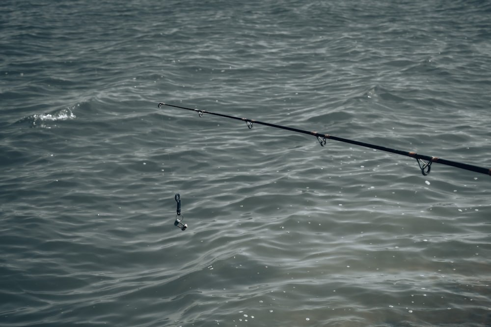 a fishing rod sticking out of the water