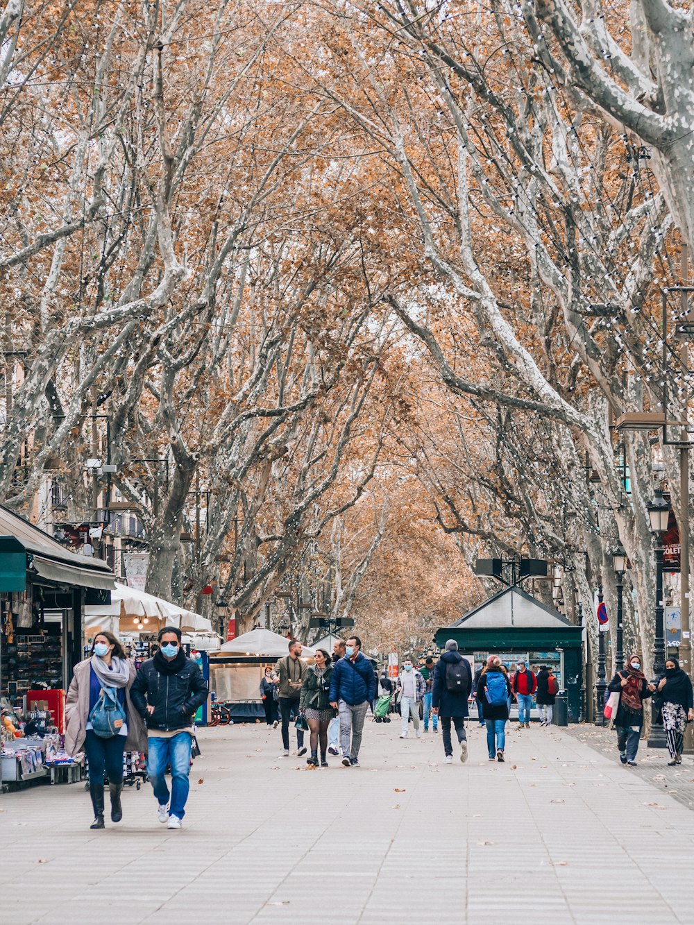 a group of people walking down a street next to trees