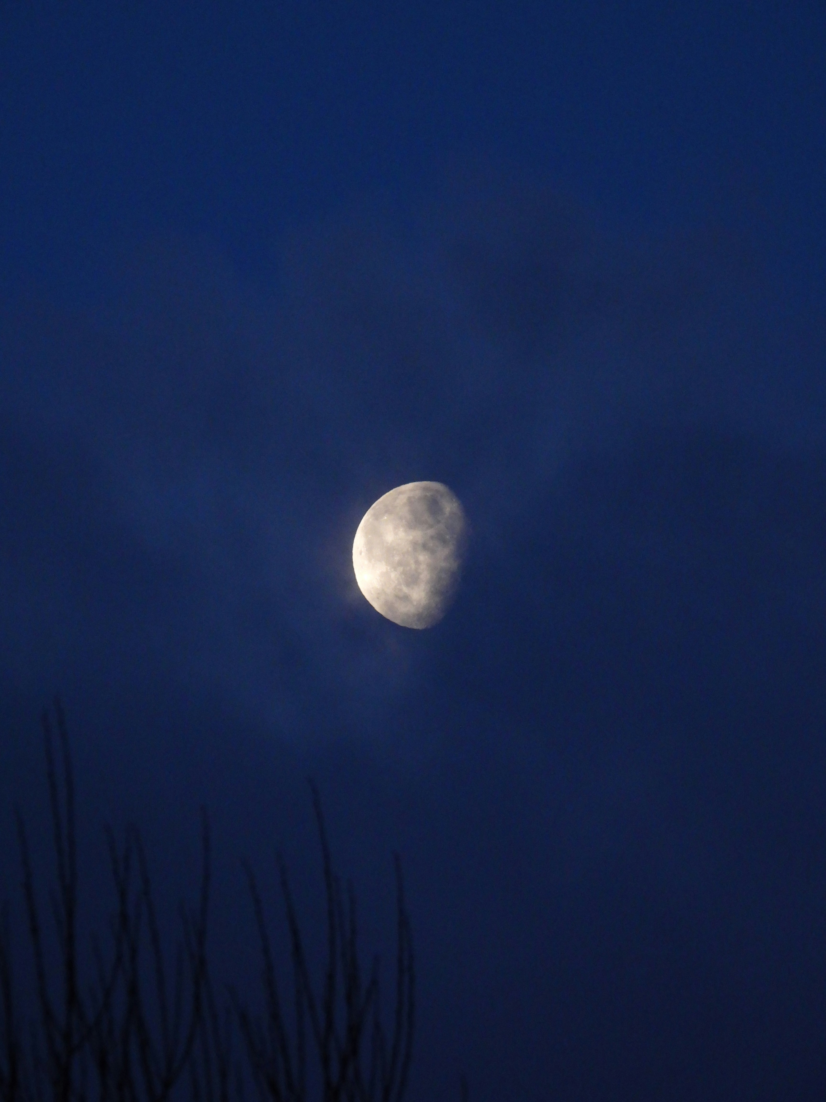 Photo by mortezakhalili