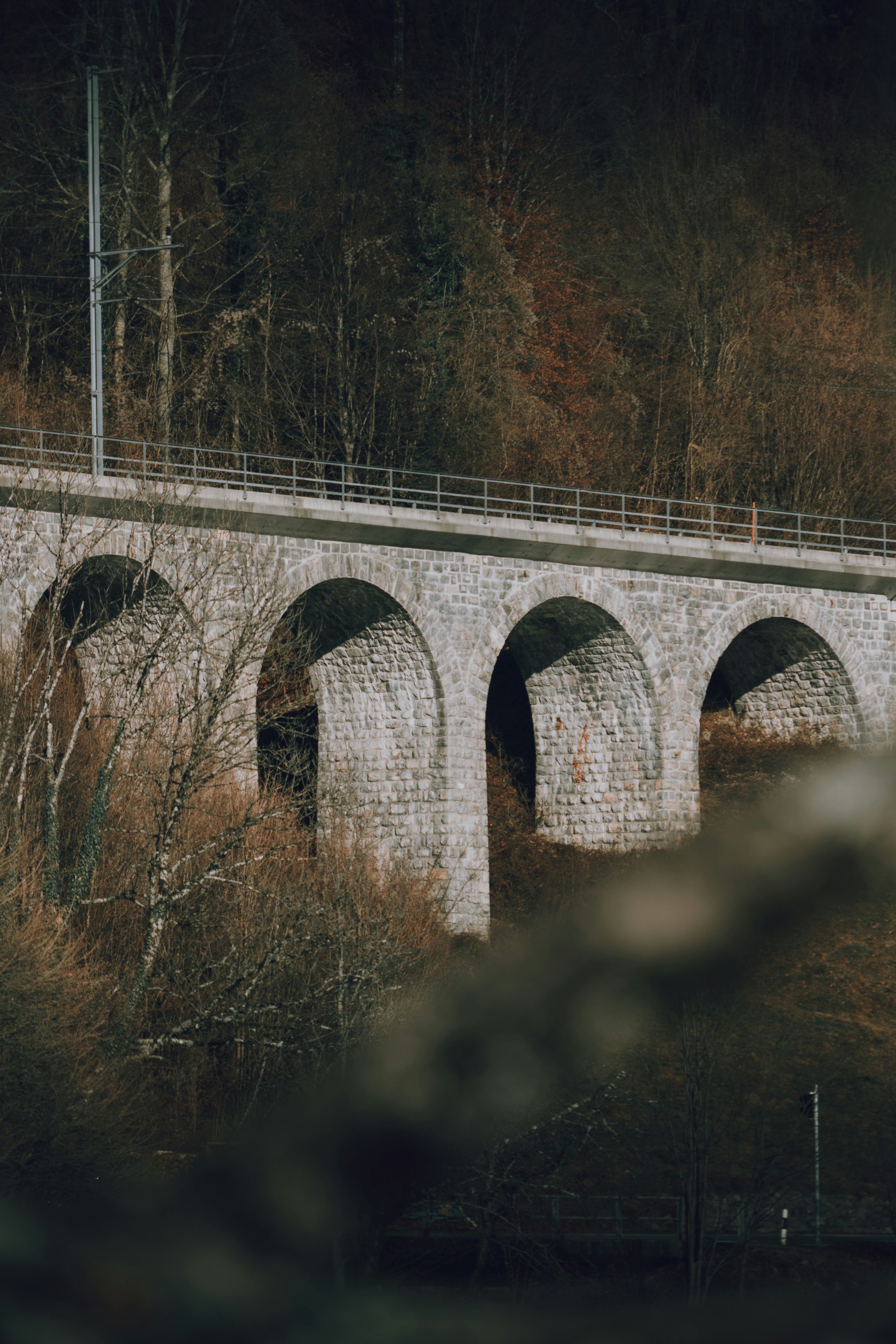 Photo by benaja_photos