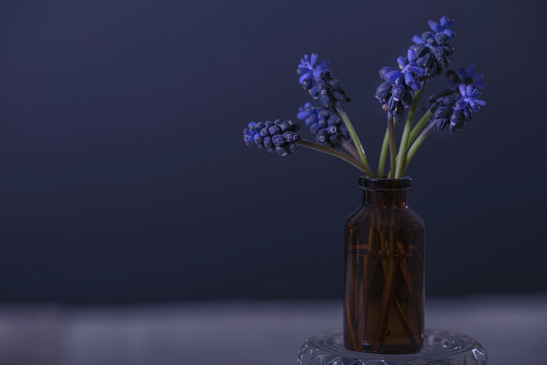 a vase filled with purple flowers on a table