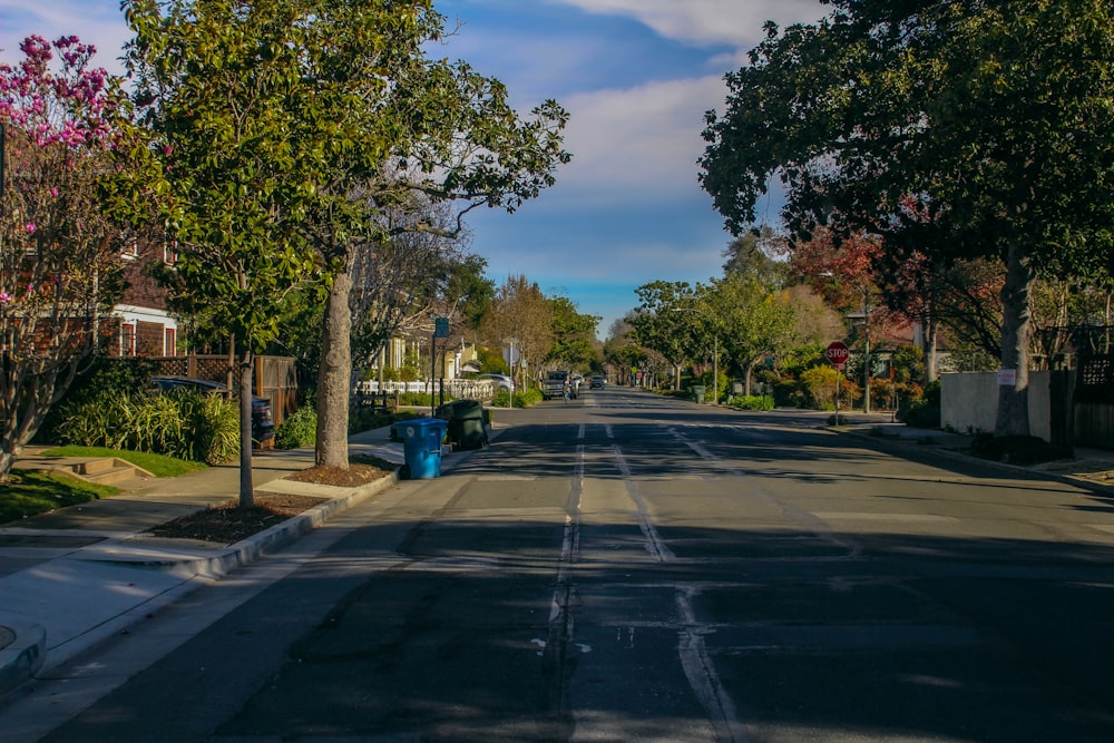 a street lined with trees and a blue trash can