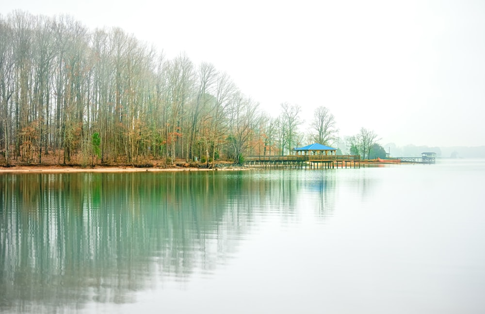 a body of water with trees in the background