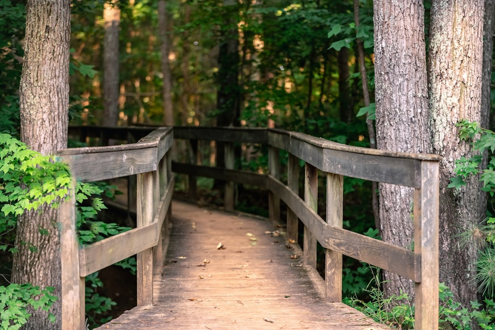 a wooden bridge in the middle of a forest