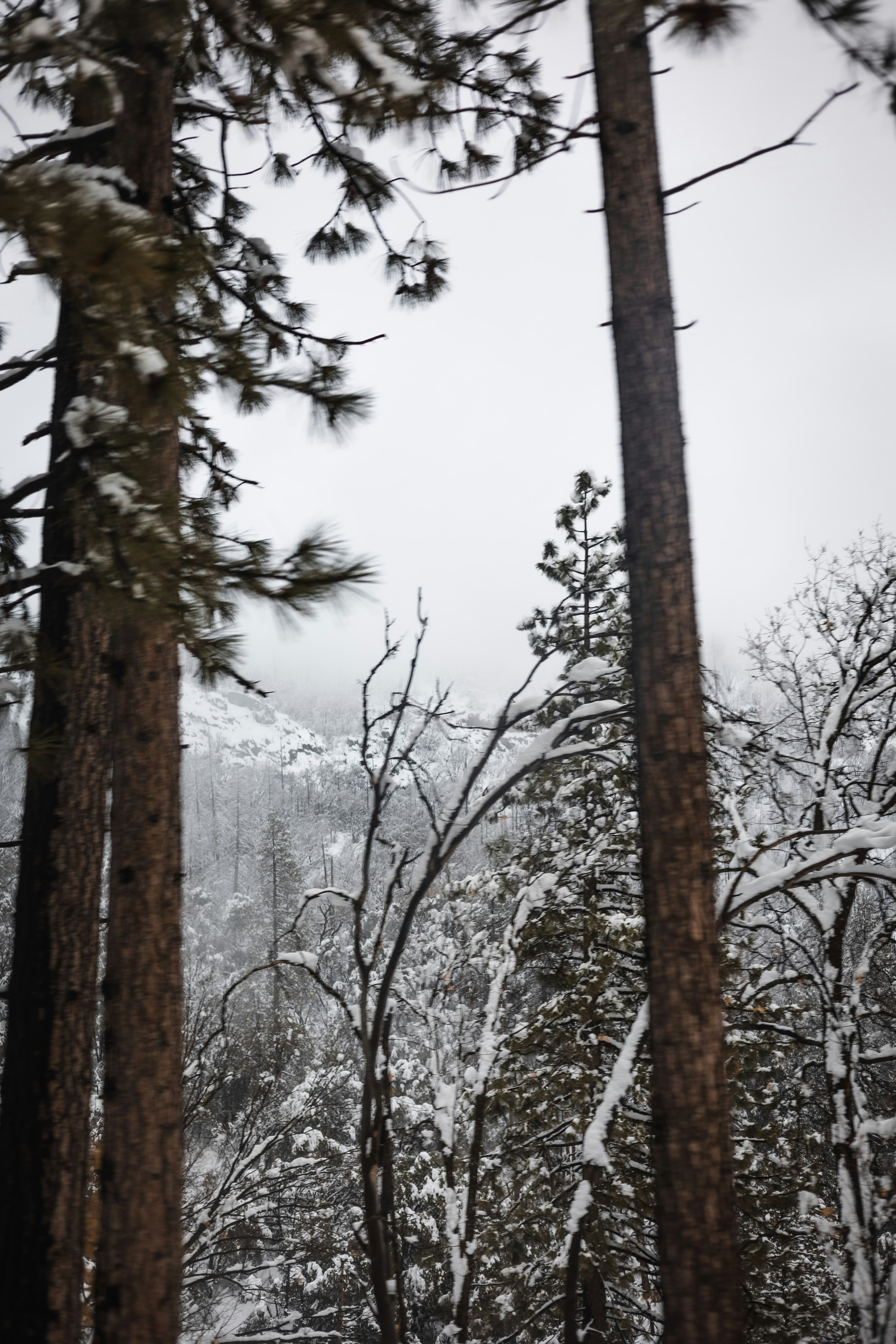 Photo by tannermyatt