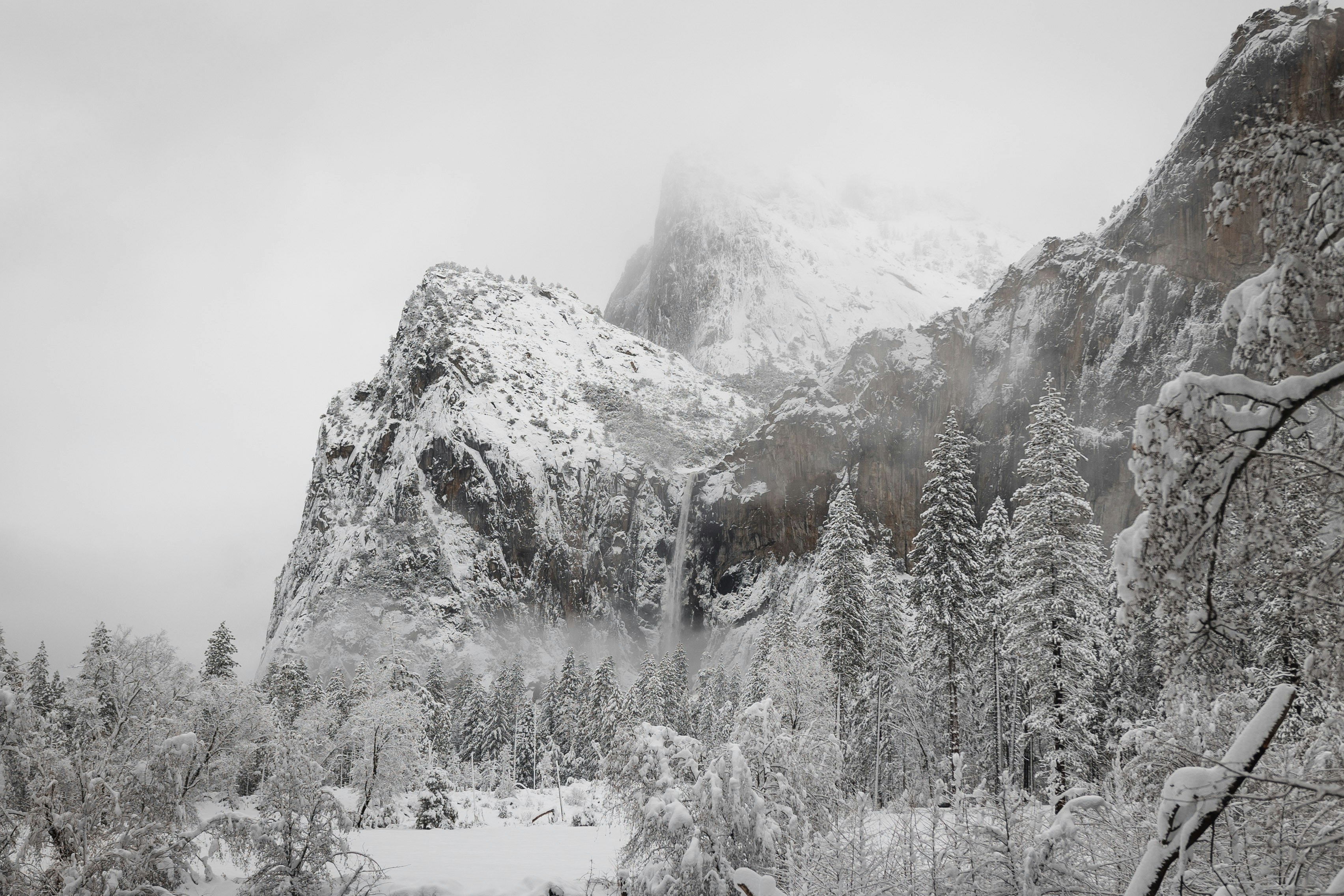 Photo by tannermyatt