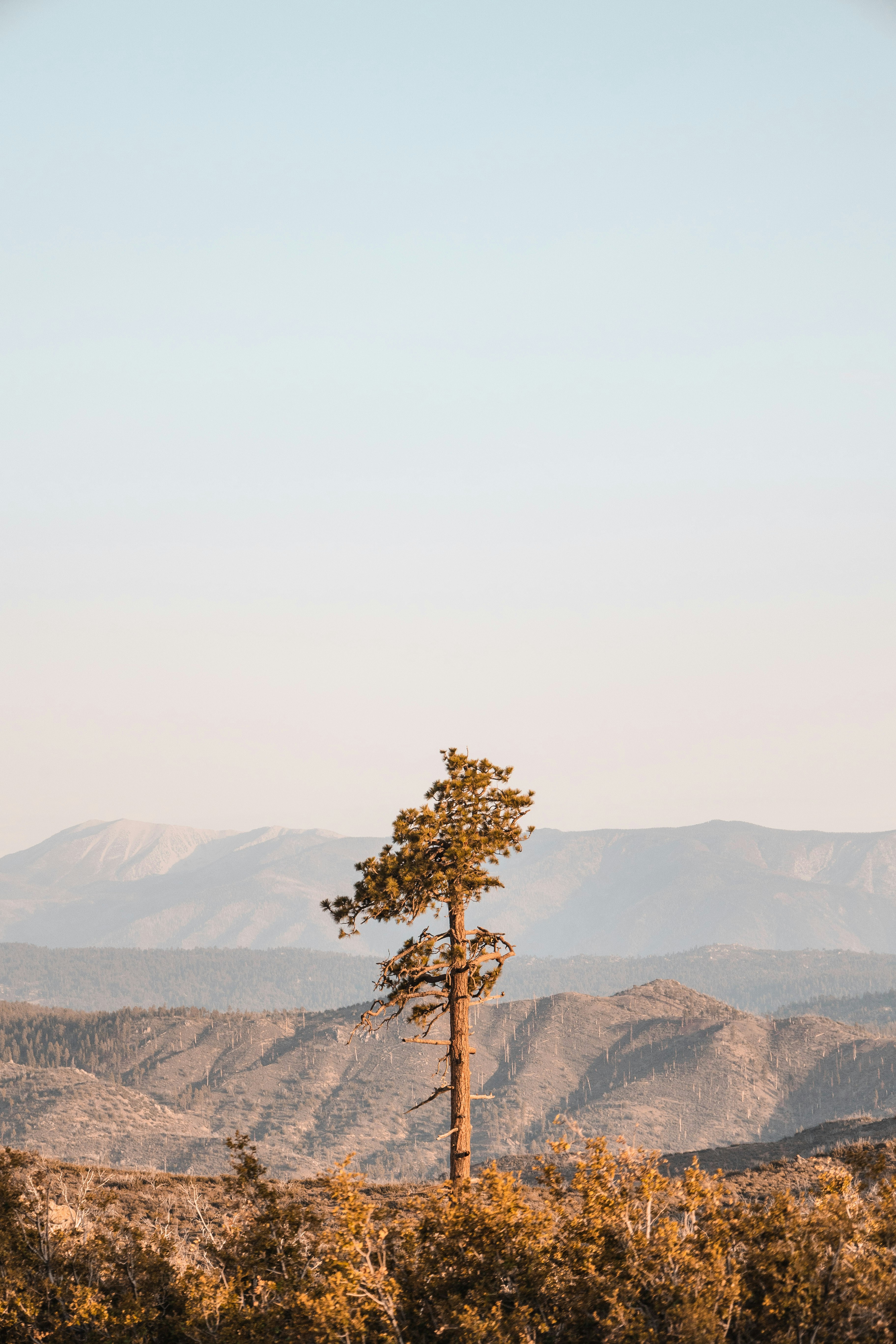 Photo by tannermyatt