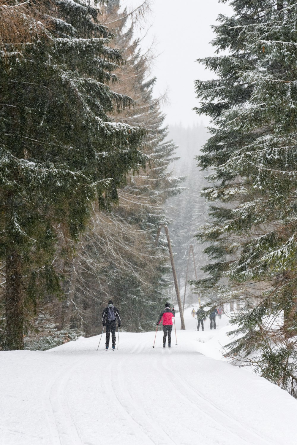 um par de pessoas andando de esqui por uma encosta coberta de neve