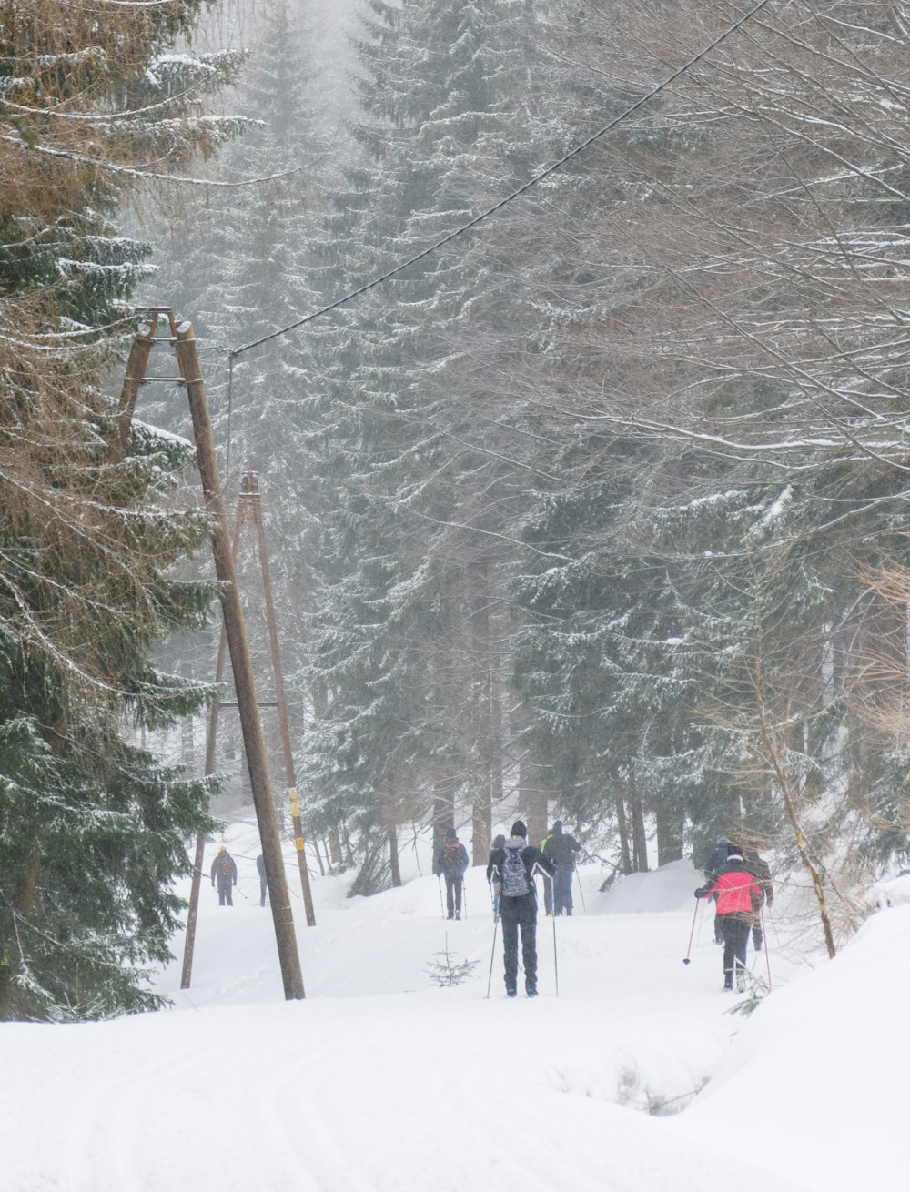 a group of cross country skiers make their way through the snow