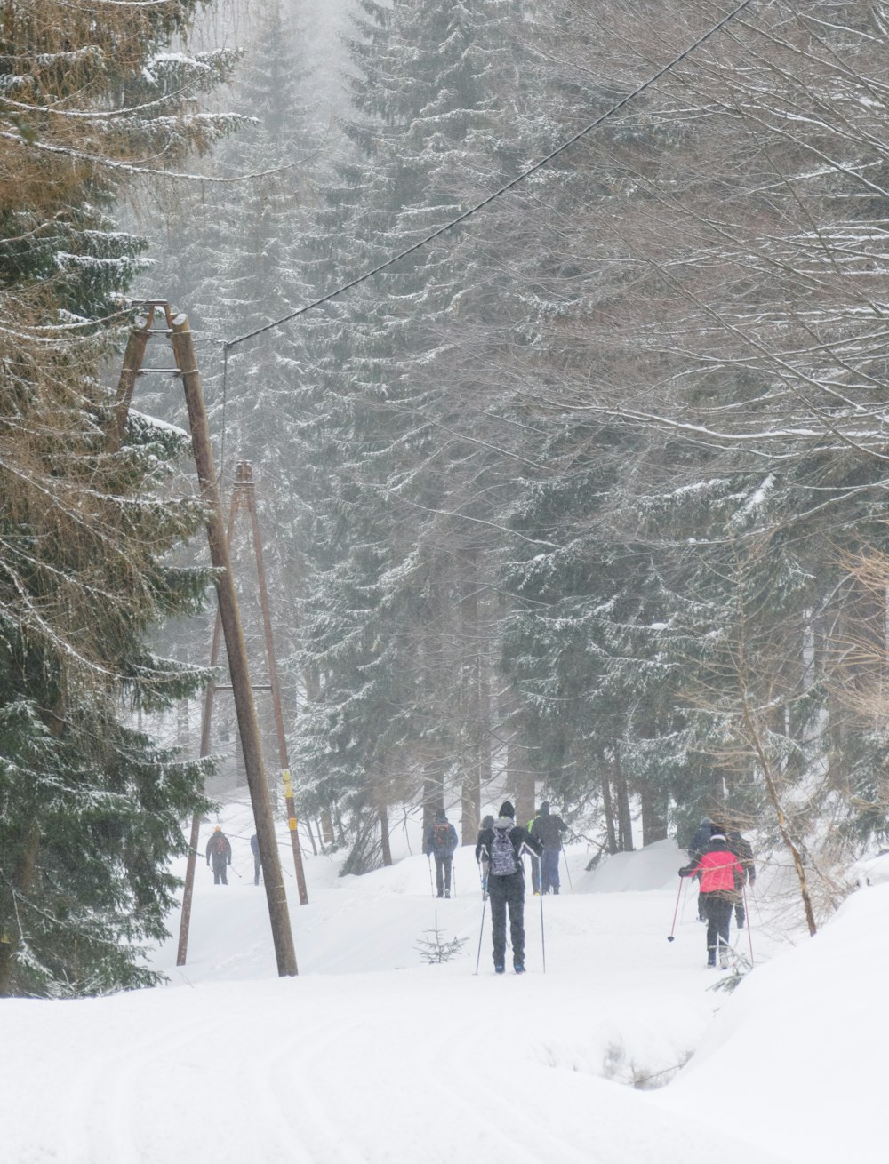 Un groupe de skieurs de fond se fraye un chemin dans la neige